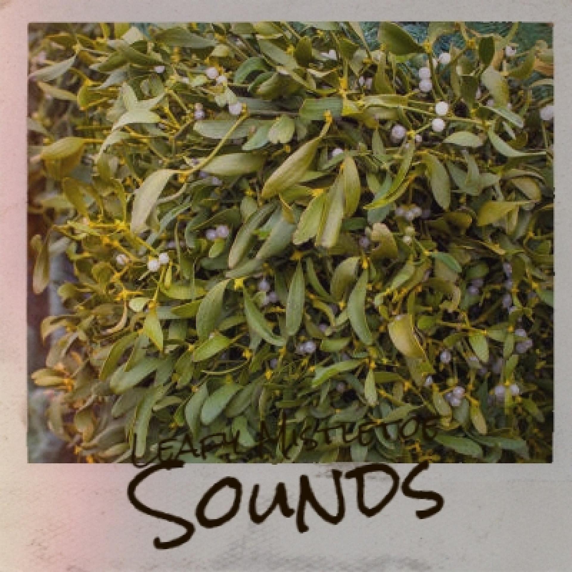 Постер альбома Leafy Mistletoe Sounds