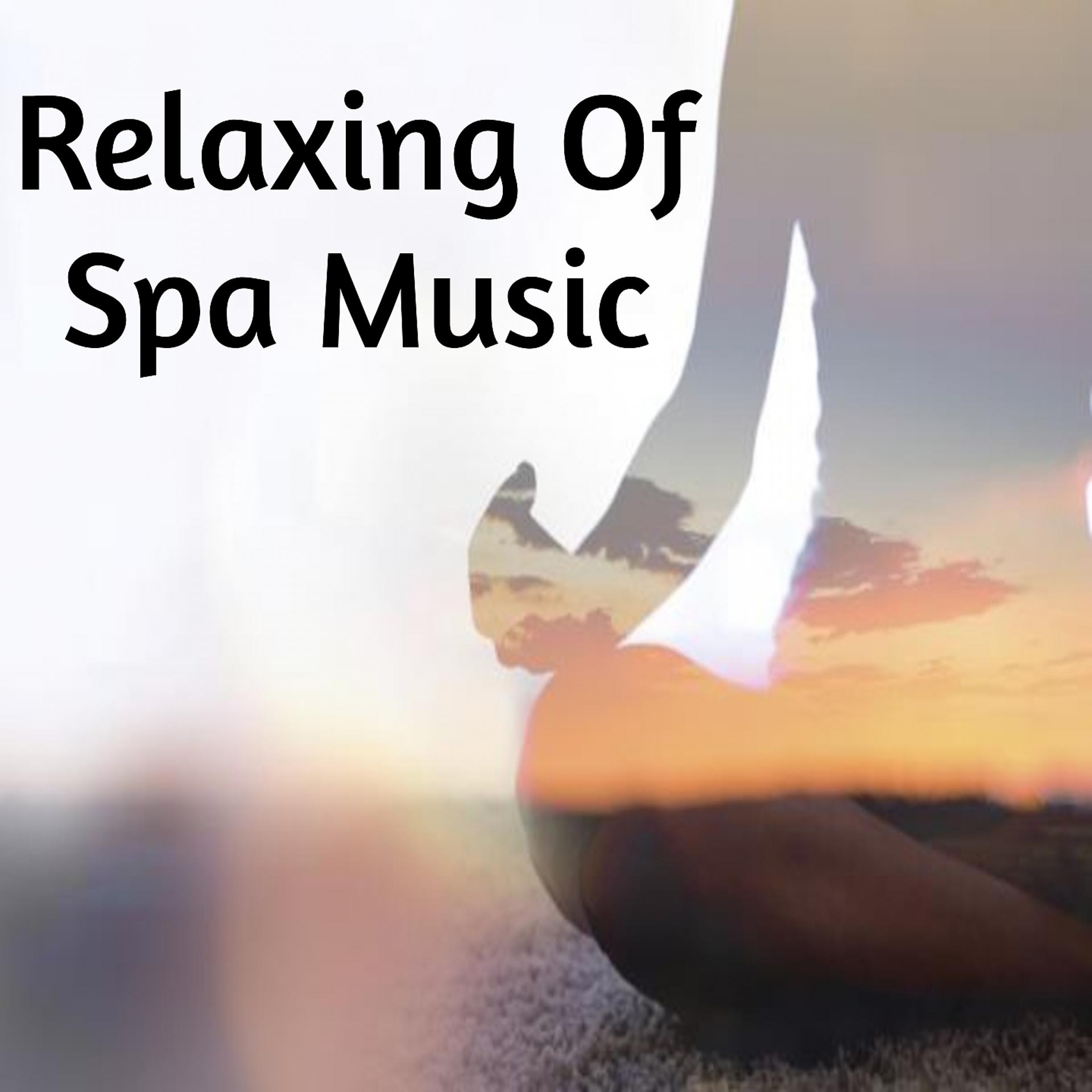Постер альбома Relaxing Of Spa Music