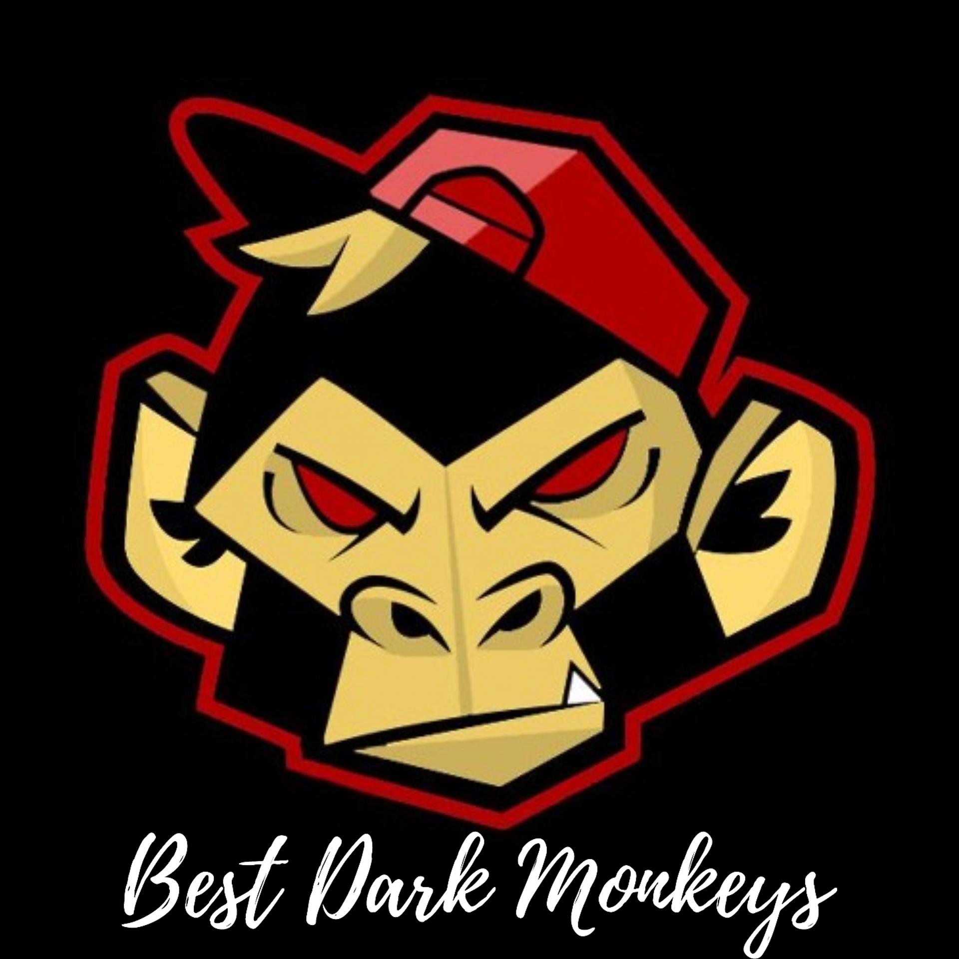 Постер альбома Best Dark Monkeys