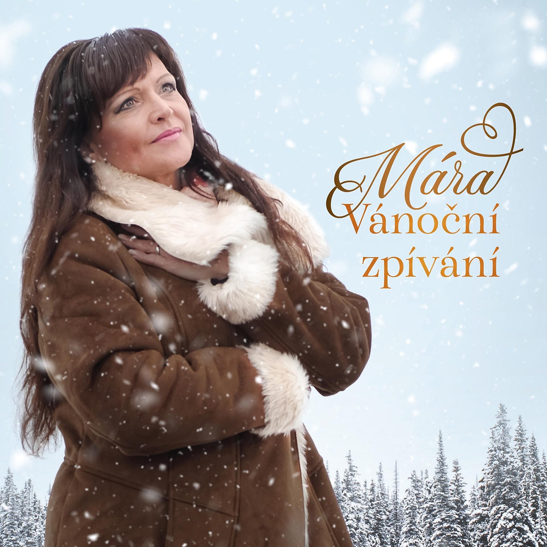 Постер альбома Vánoční zpívání