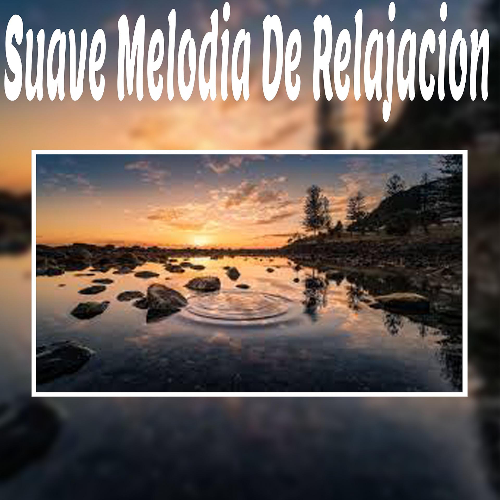 Постер альбома Suave Melodia de Relajacion