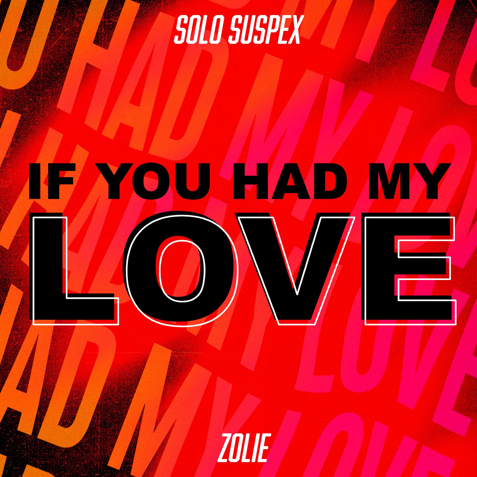 Постер альбома If You Had My Love (feat. Zolie)