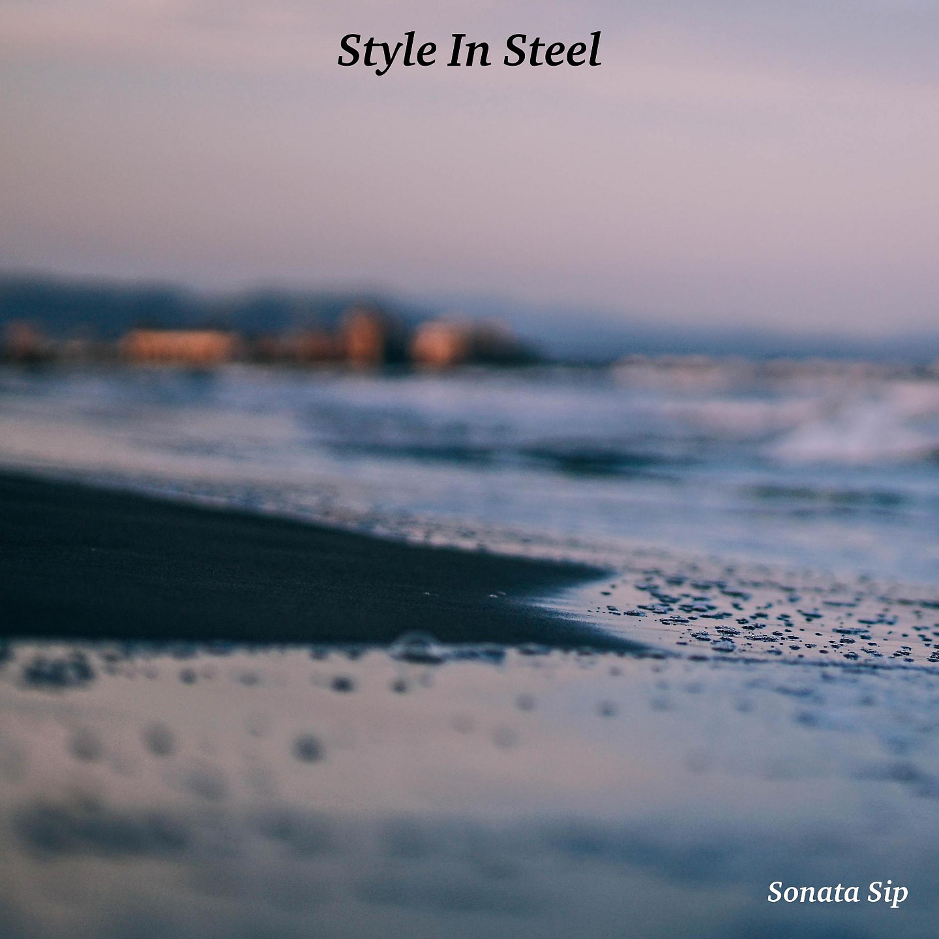 Постер альбома Style In Steel