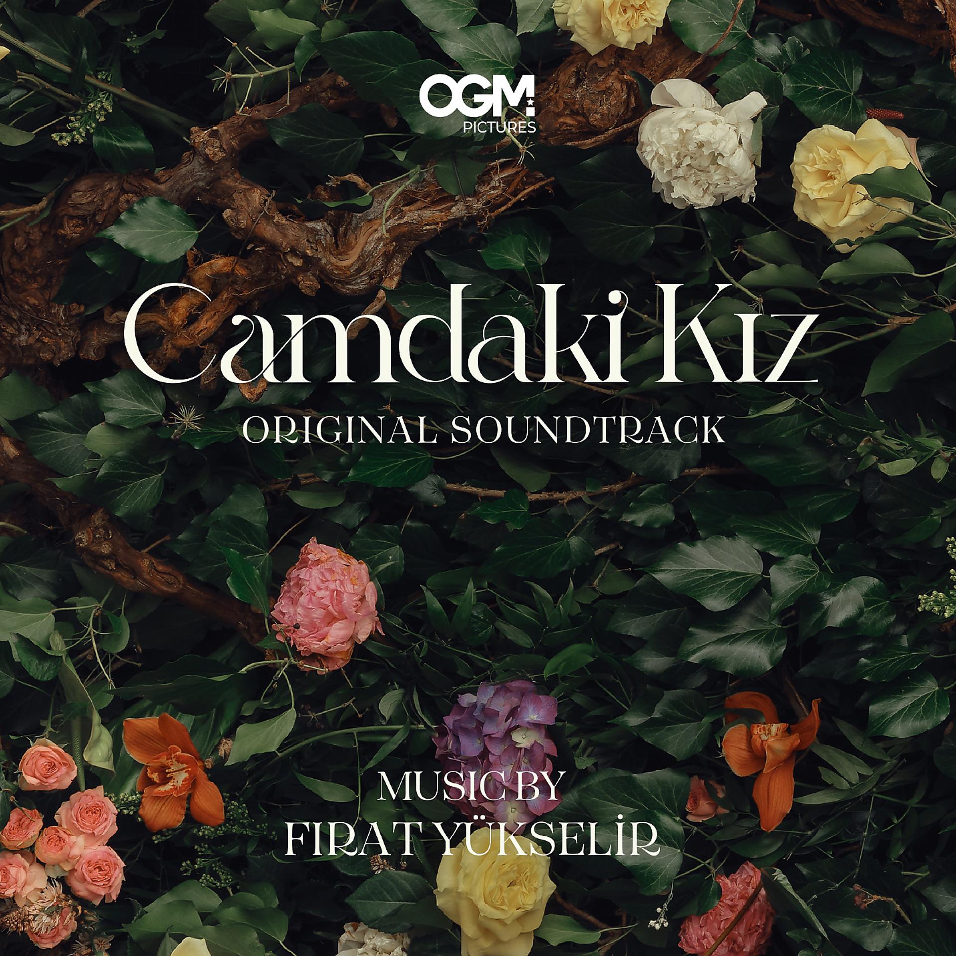 Постер альбома Camdaki Kız