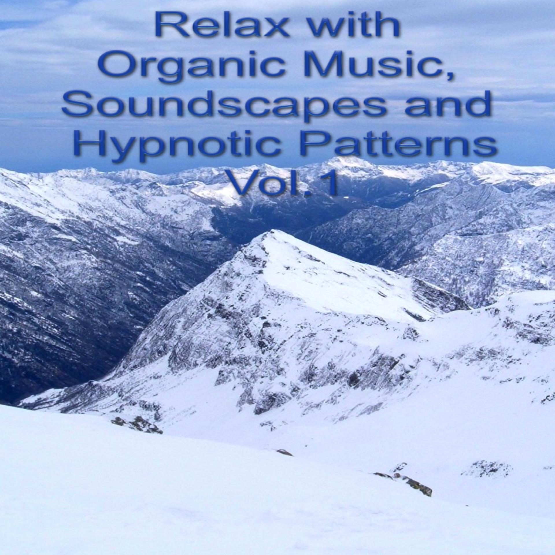 Постер альбома Relax With Organic Music, Soundscapes and Hypnotic Patterns Vol.1