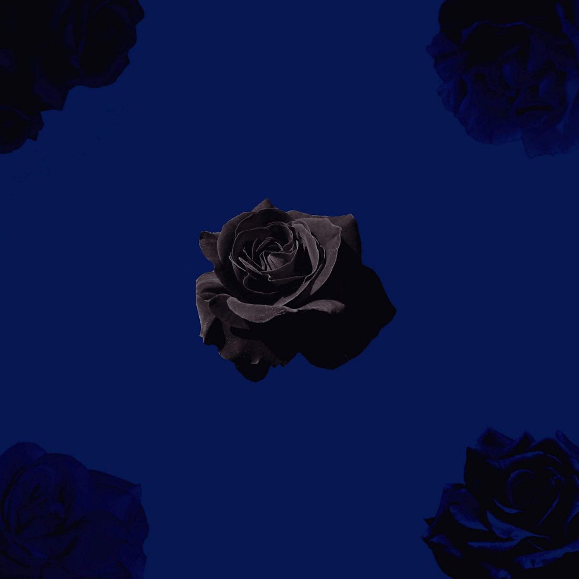 Постер альбома Le noir et le bleu