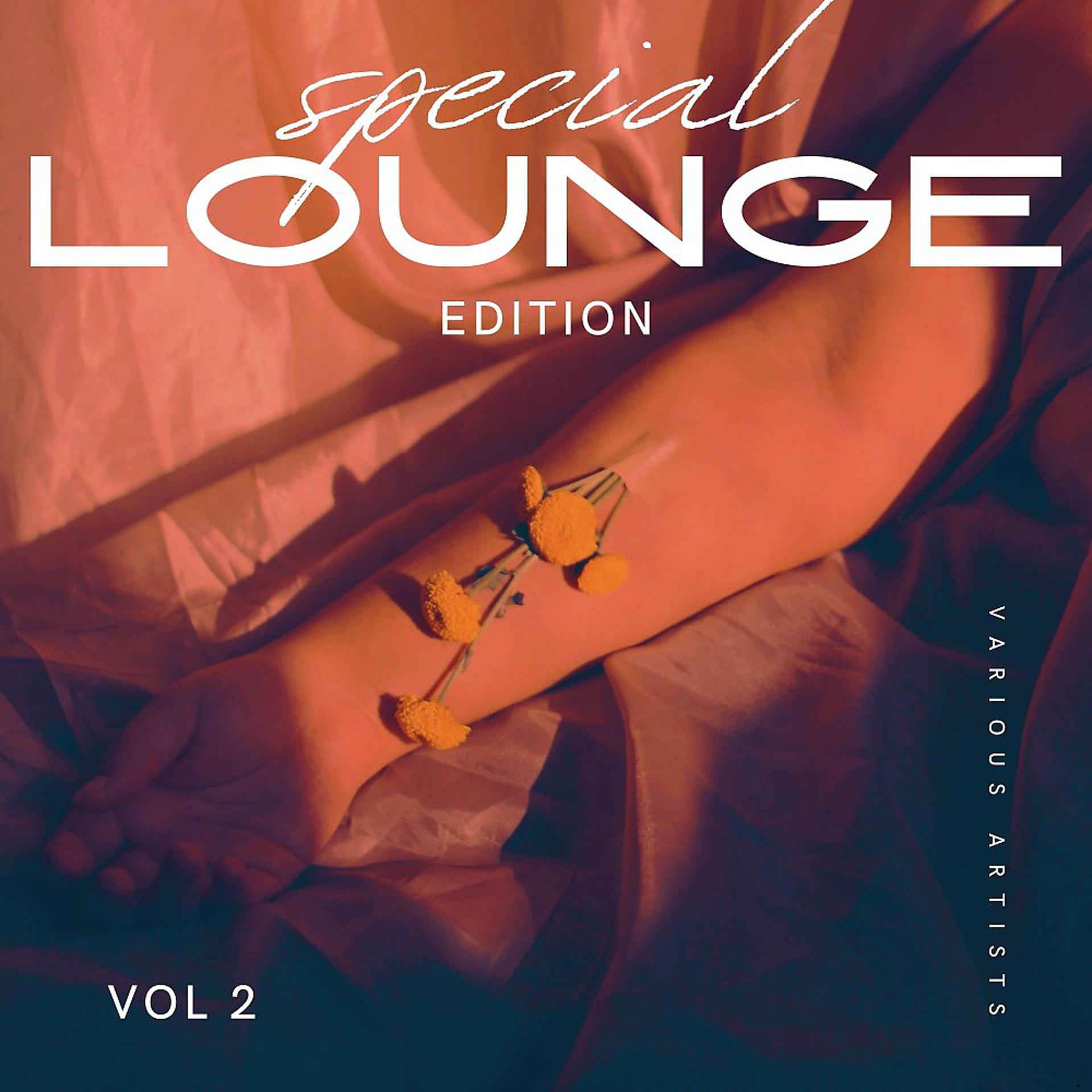 Постер альбома Special Lounge Edition, Vol. 2