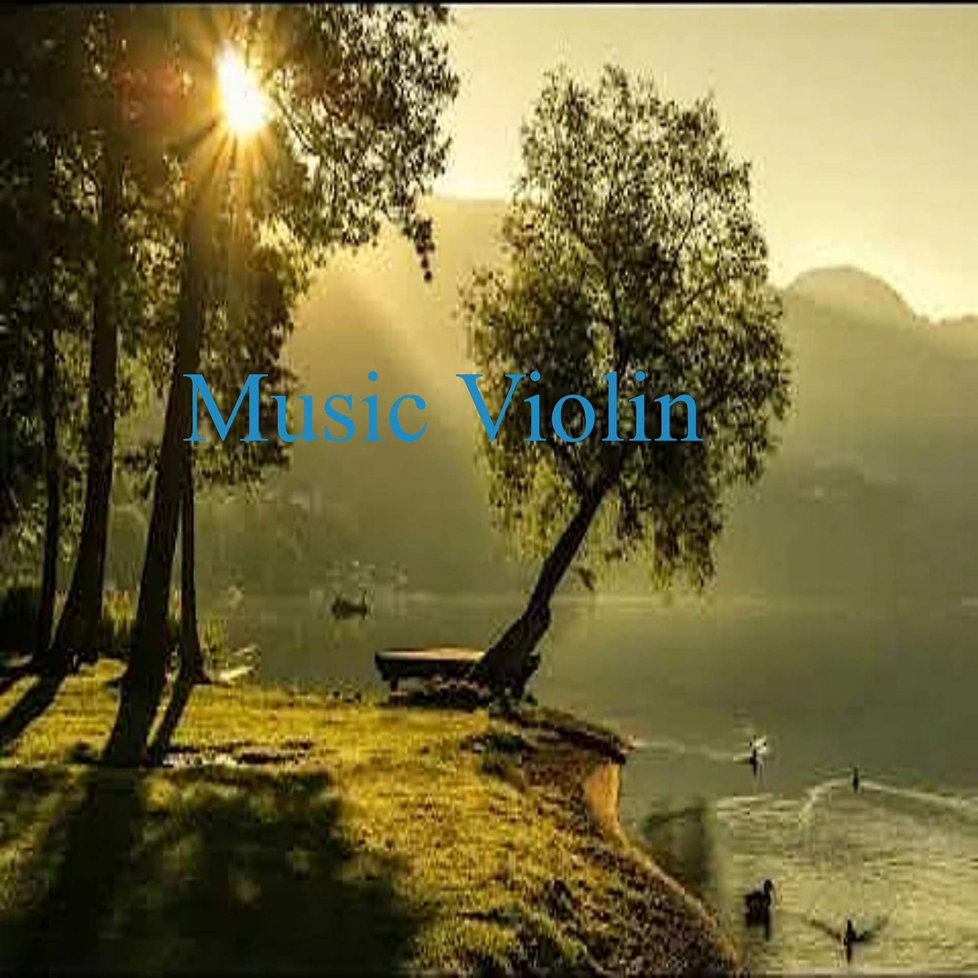 Постер альбома Music Violin