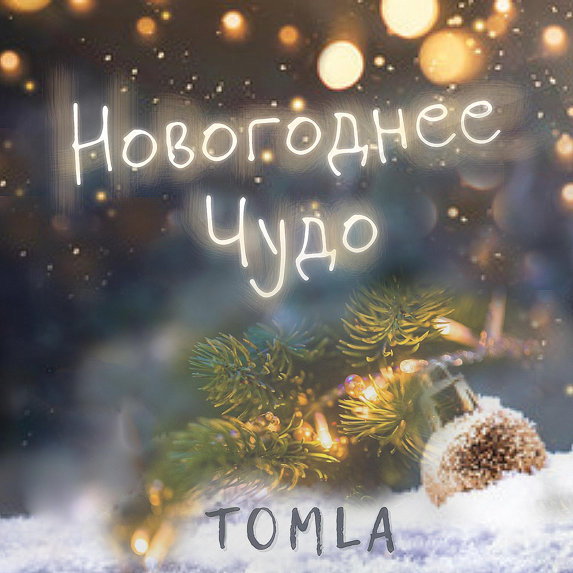 Постер альбома Новогоднее чудо