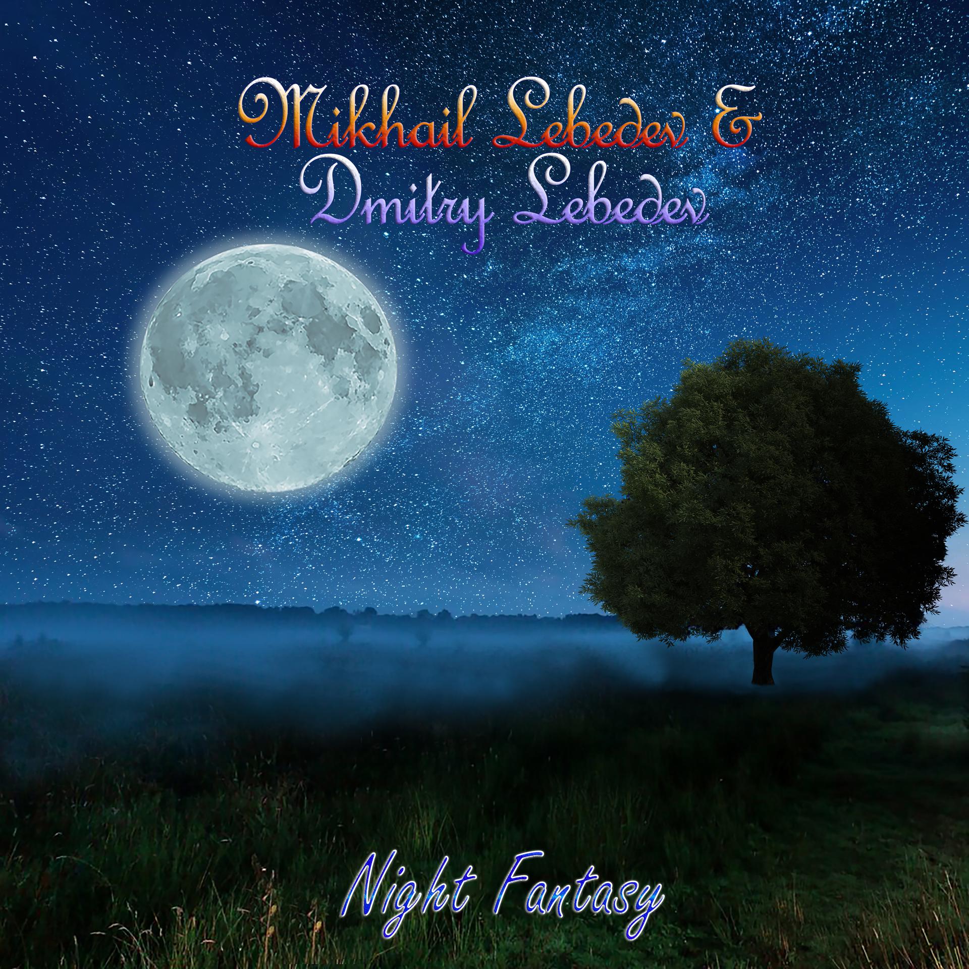 Постер альбома Night Fantasy