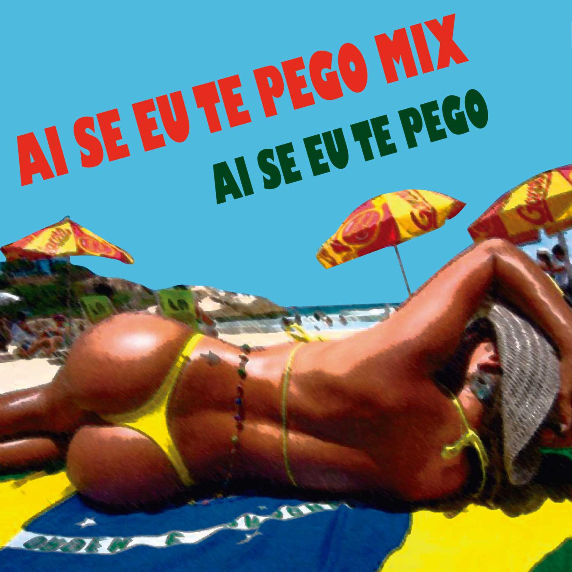 Постер альбома Ai Se Eu Te Pego Mix
