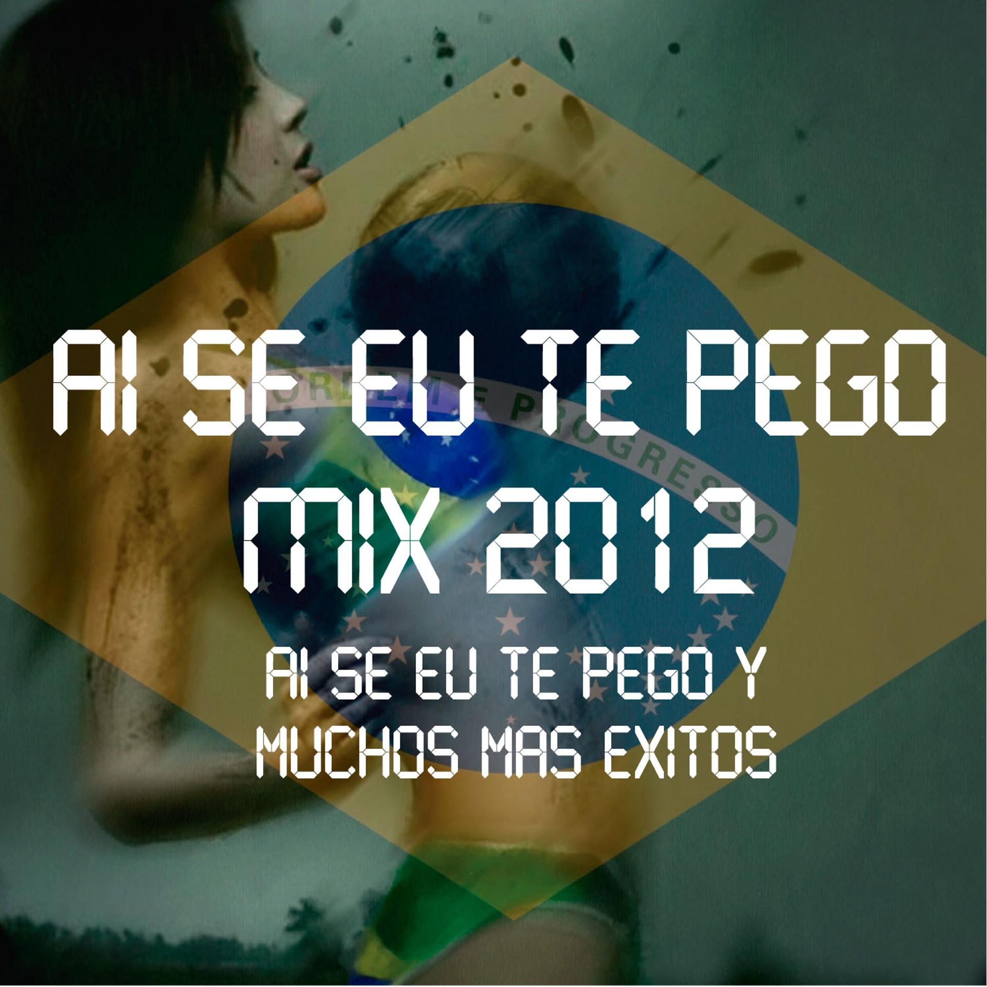 Постер альбома Ai Se Eu Te Pego Mix 2012