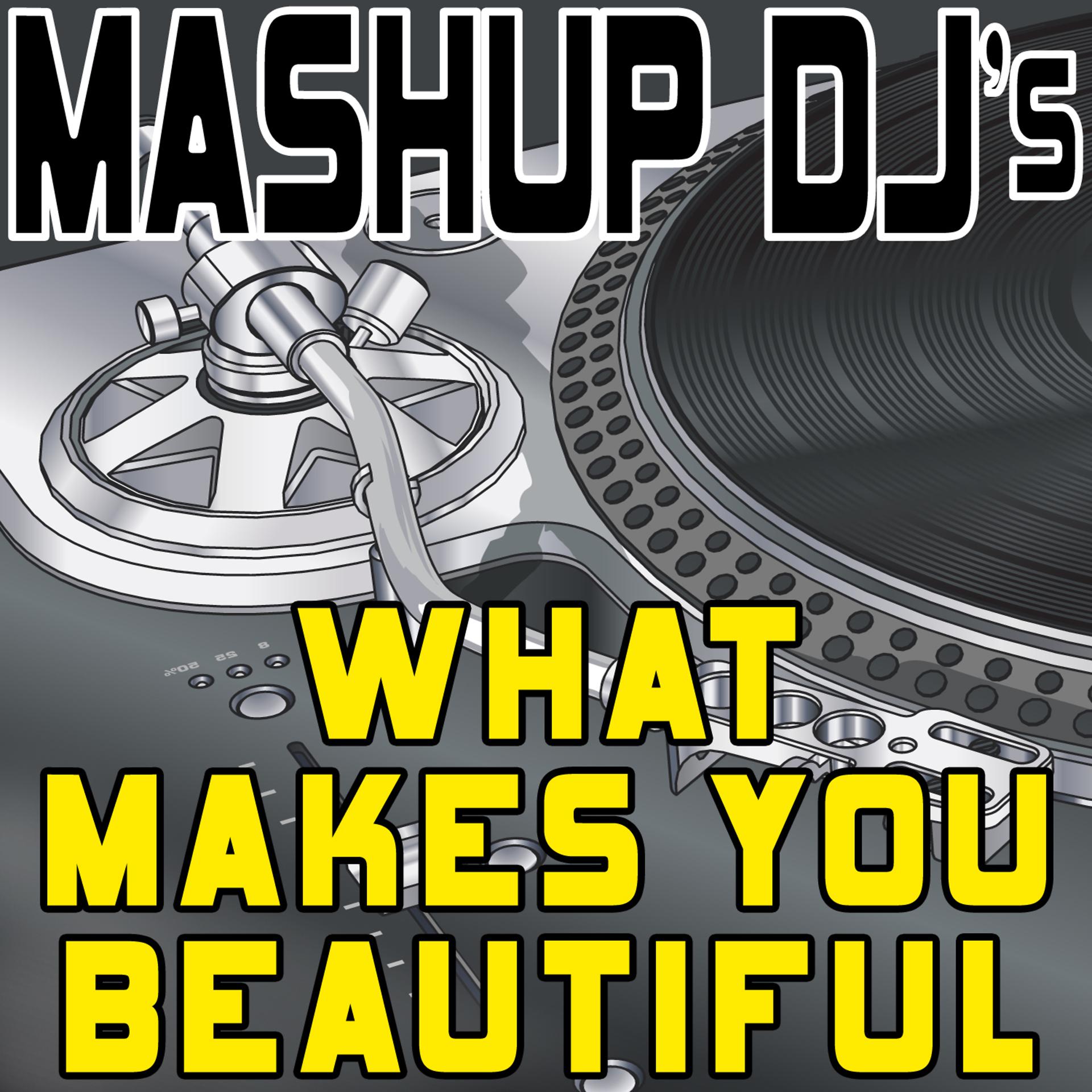 Постер альбома What Makes You Beautiful (Remix Tools for Mash-Ups)
