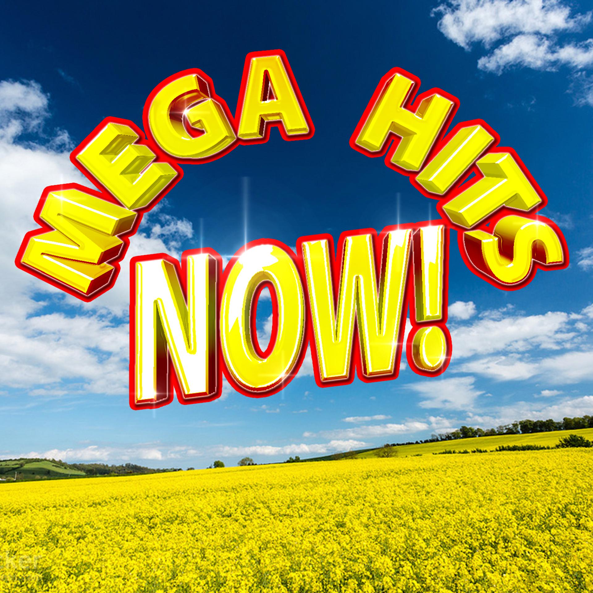 Постер альбома Mega Hits Now!