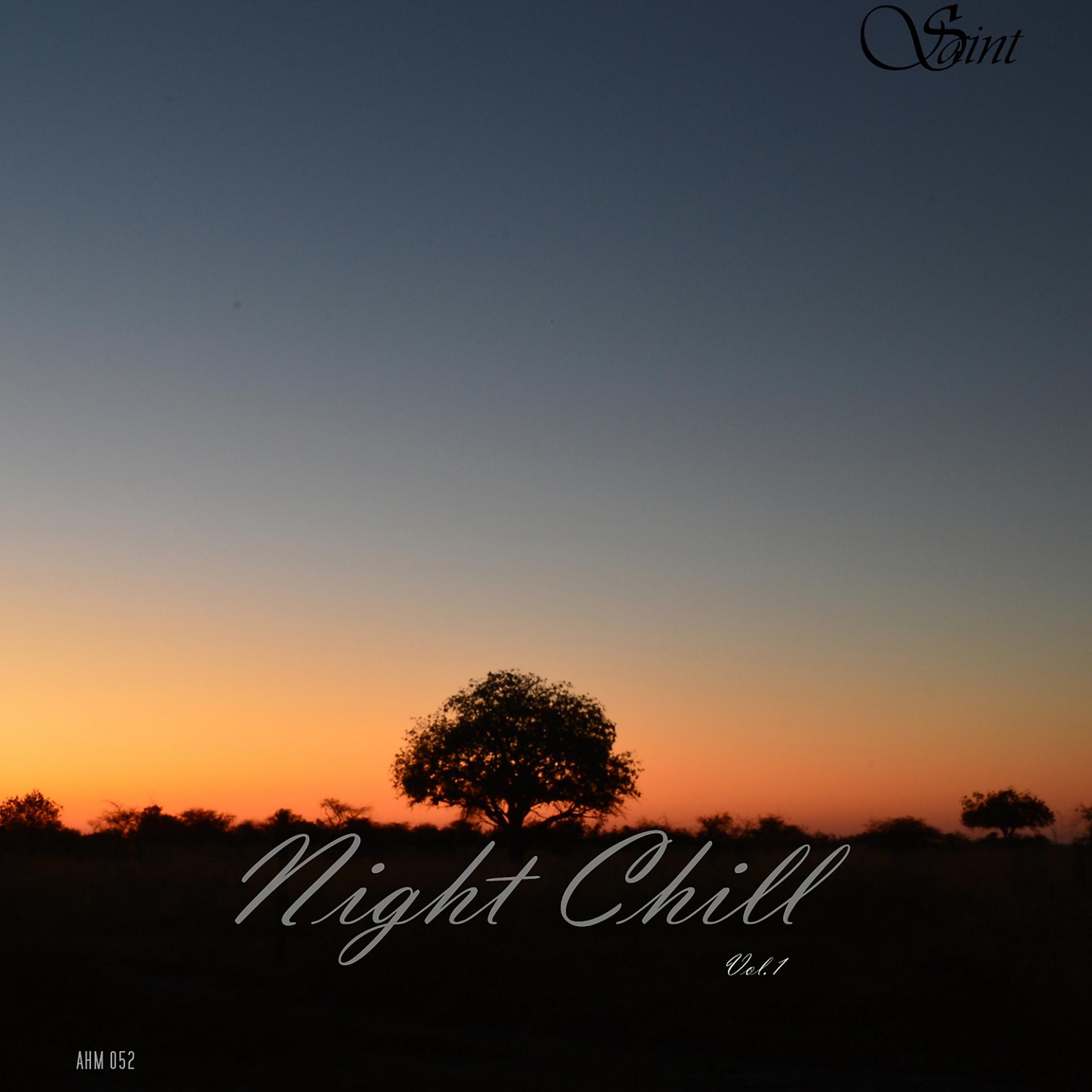 Постер альбома Night Chill
