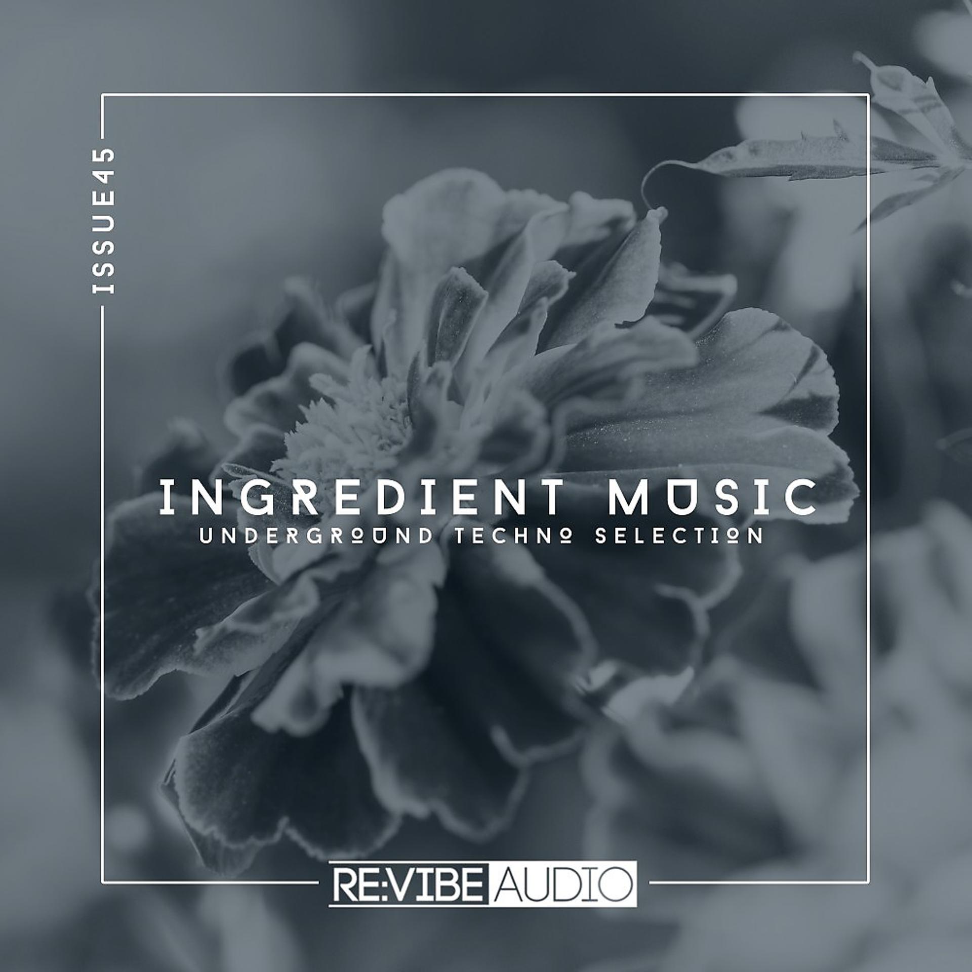 Постер альбома Ingredient Music, Vol. 45