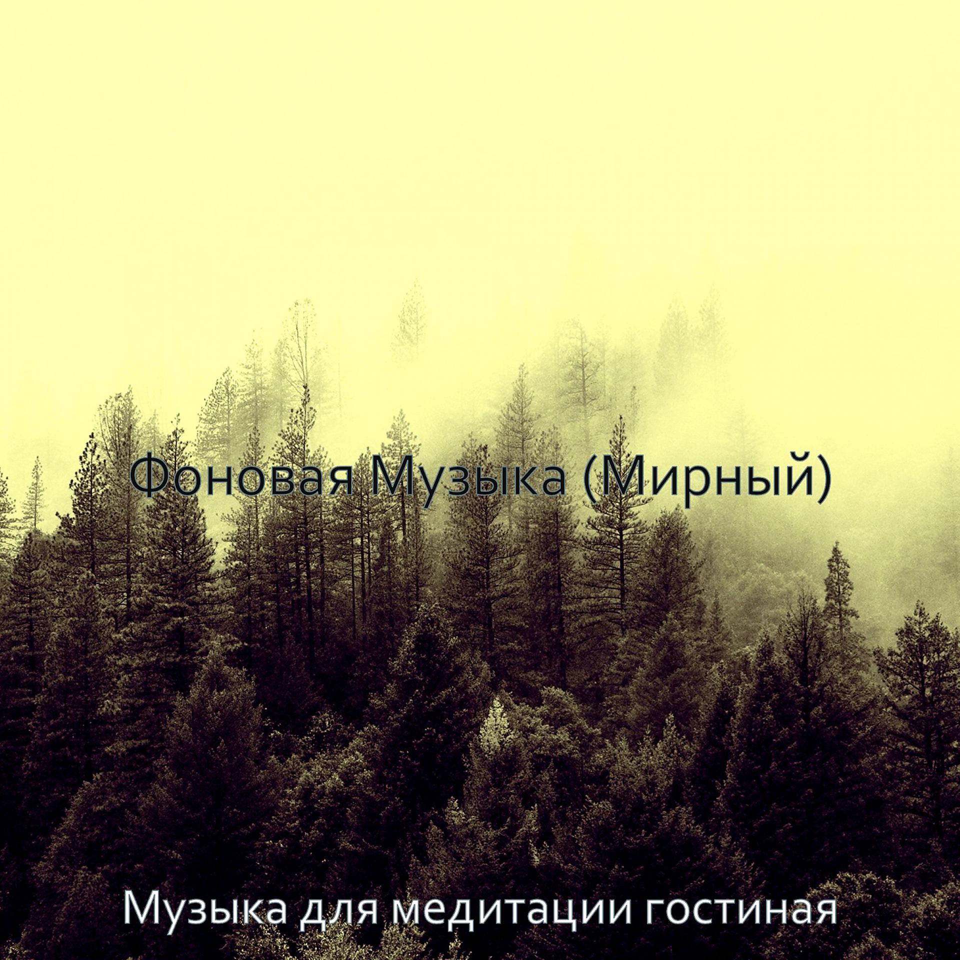 Постер альбома Фоновая Музыка (Мирный)