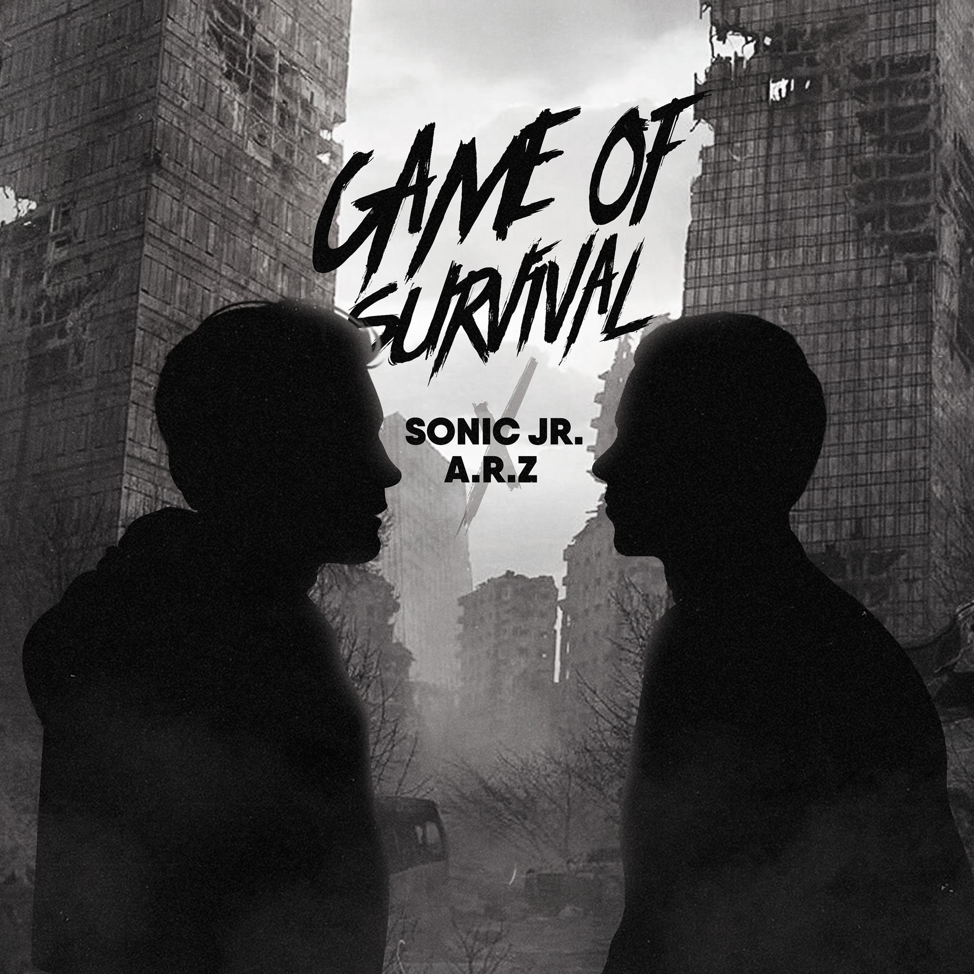 Постер альбома Game of survival