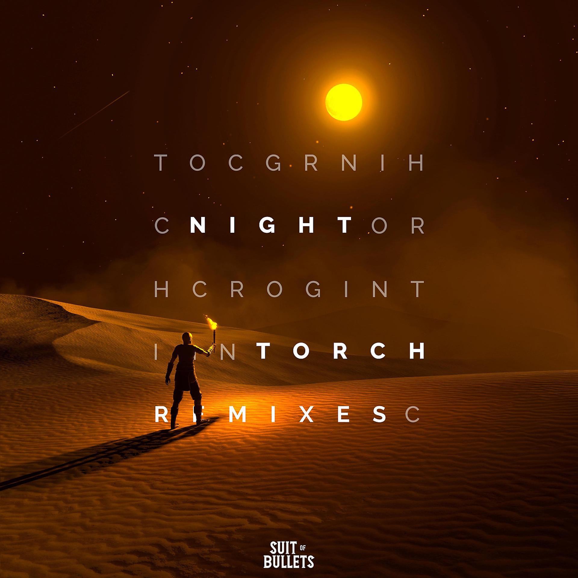Постер альбома Night Torch (Remixes)