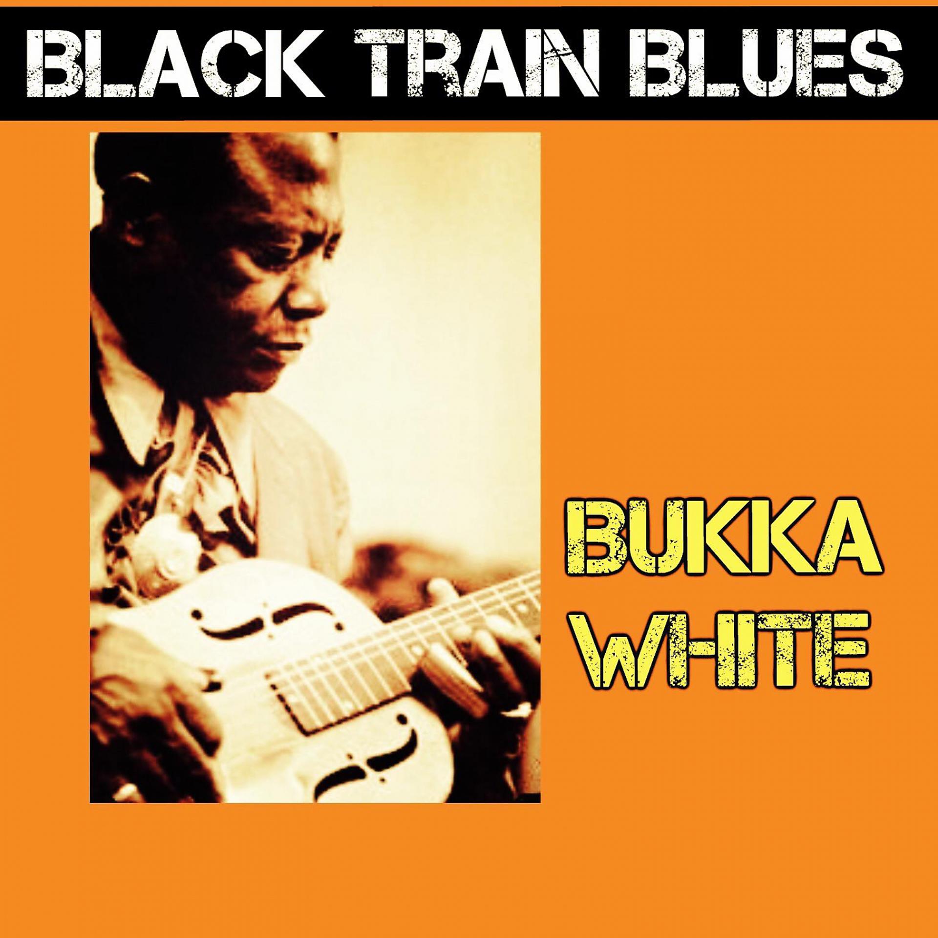 Постер альбома Black Train Blues