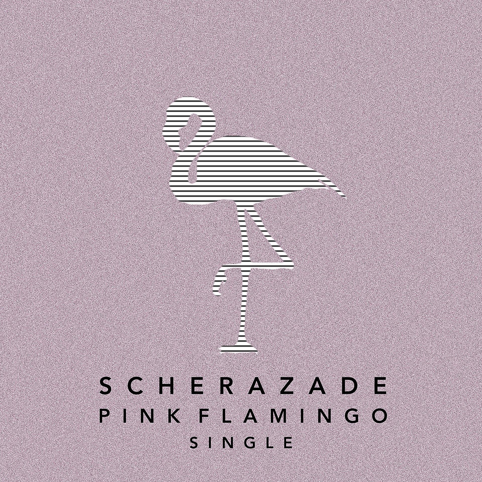 Постер альбома Pink flamingo