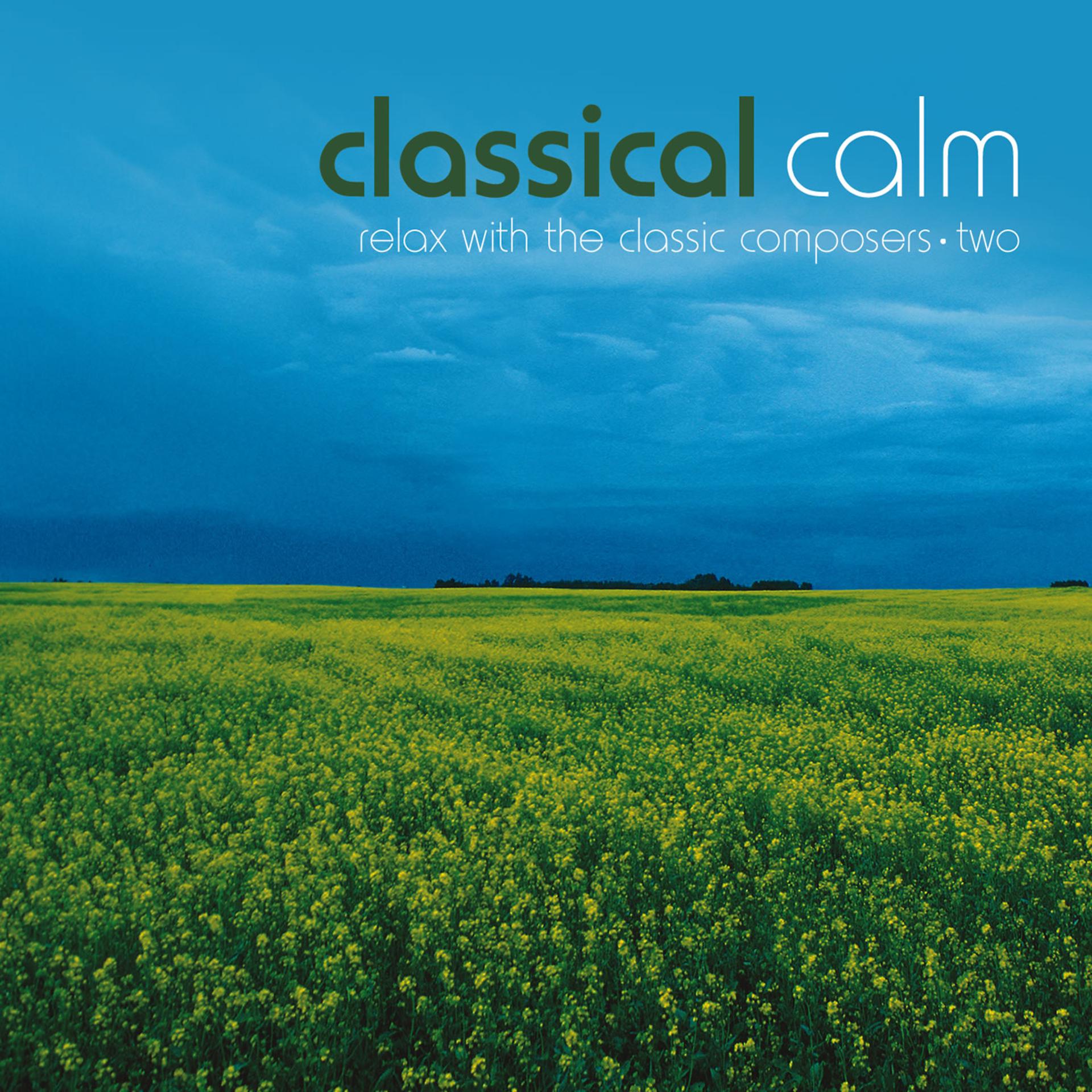Постер альбома Classical Calm… Relax With The Classic Composers, Vol. 2