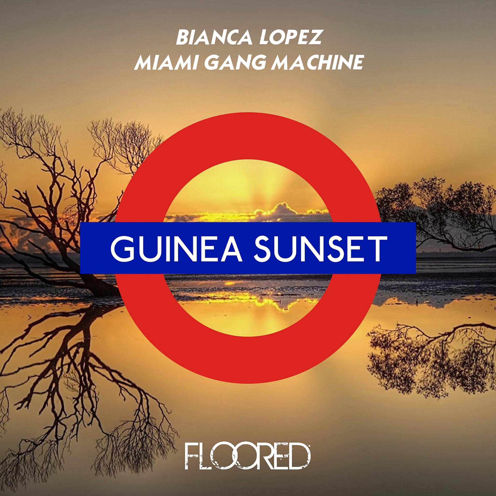 Постер альбома Guinea Sunset