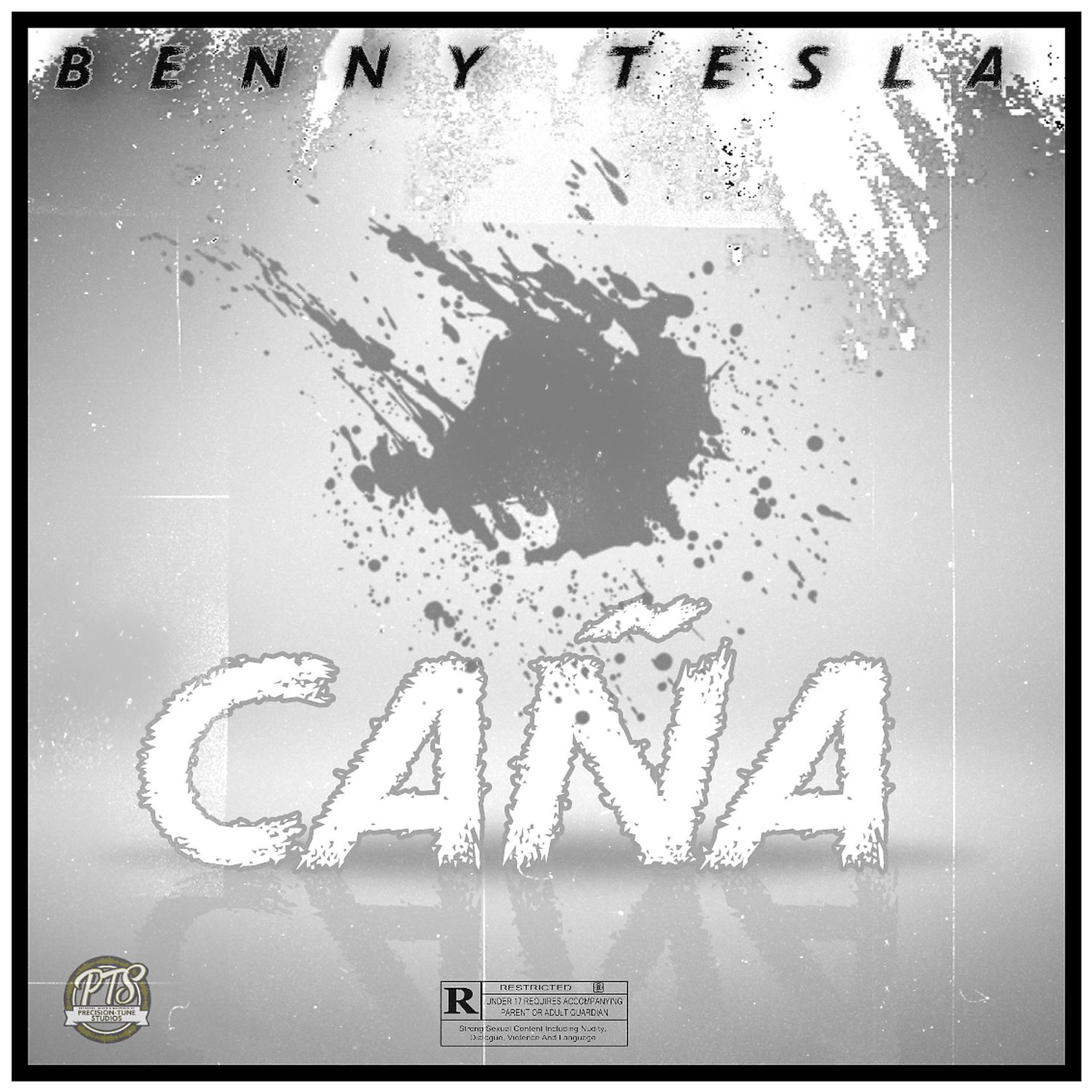 Постер альбома Caña (feat. Abssmo)