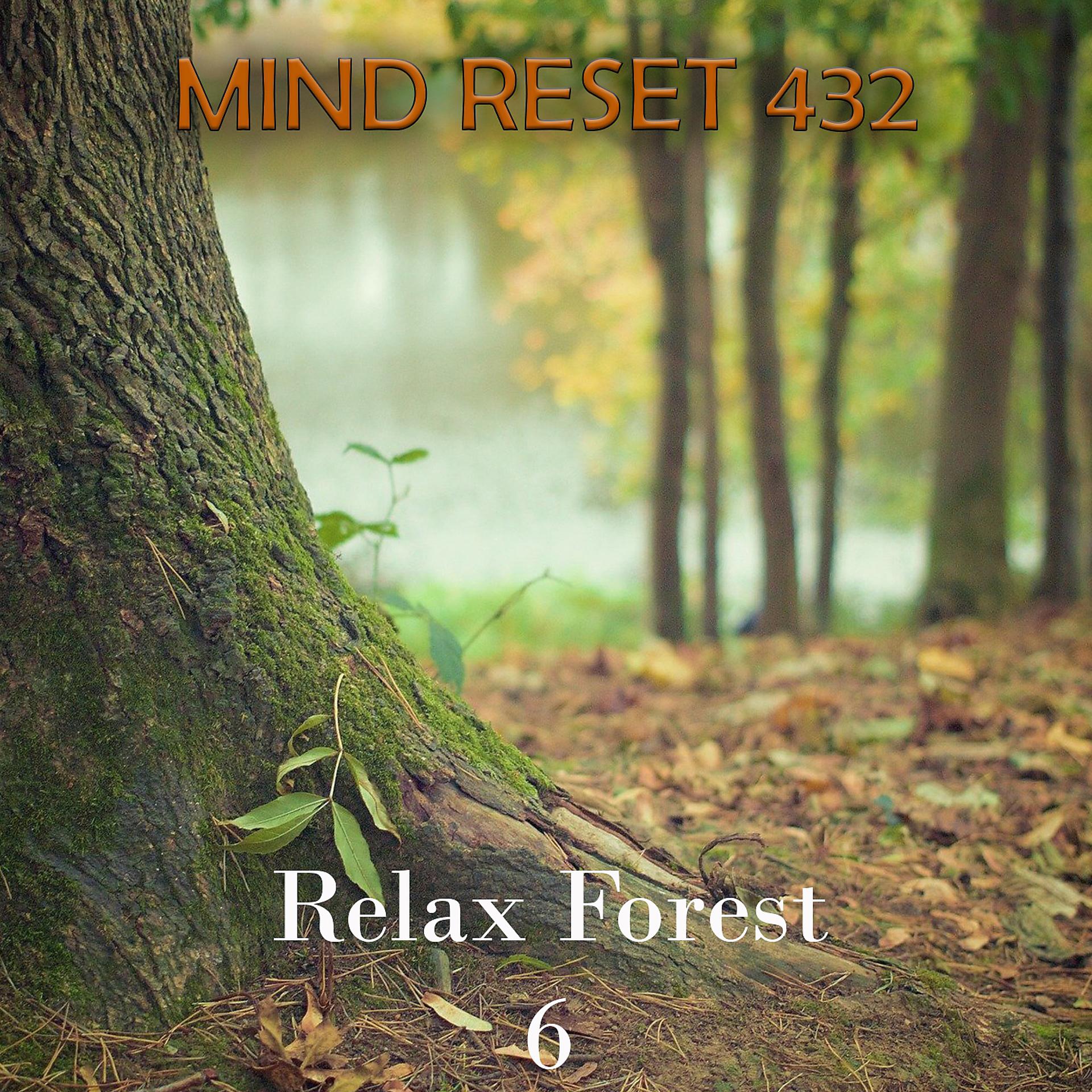 Постер альбома Relax Forest
