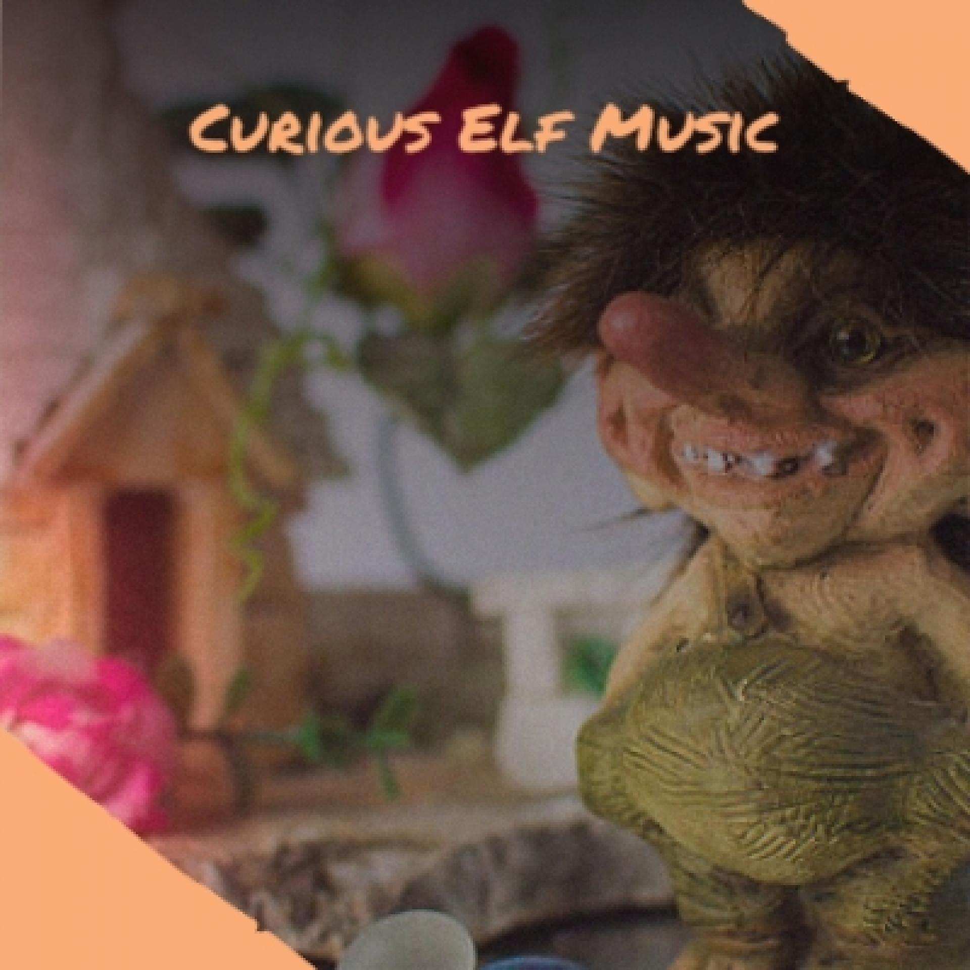Постер альбома Curious Elf Music