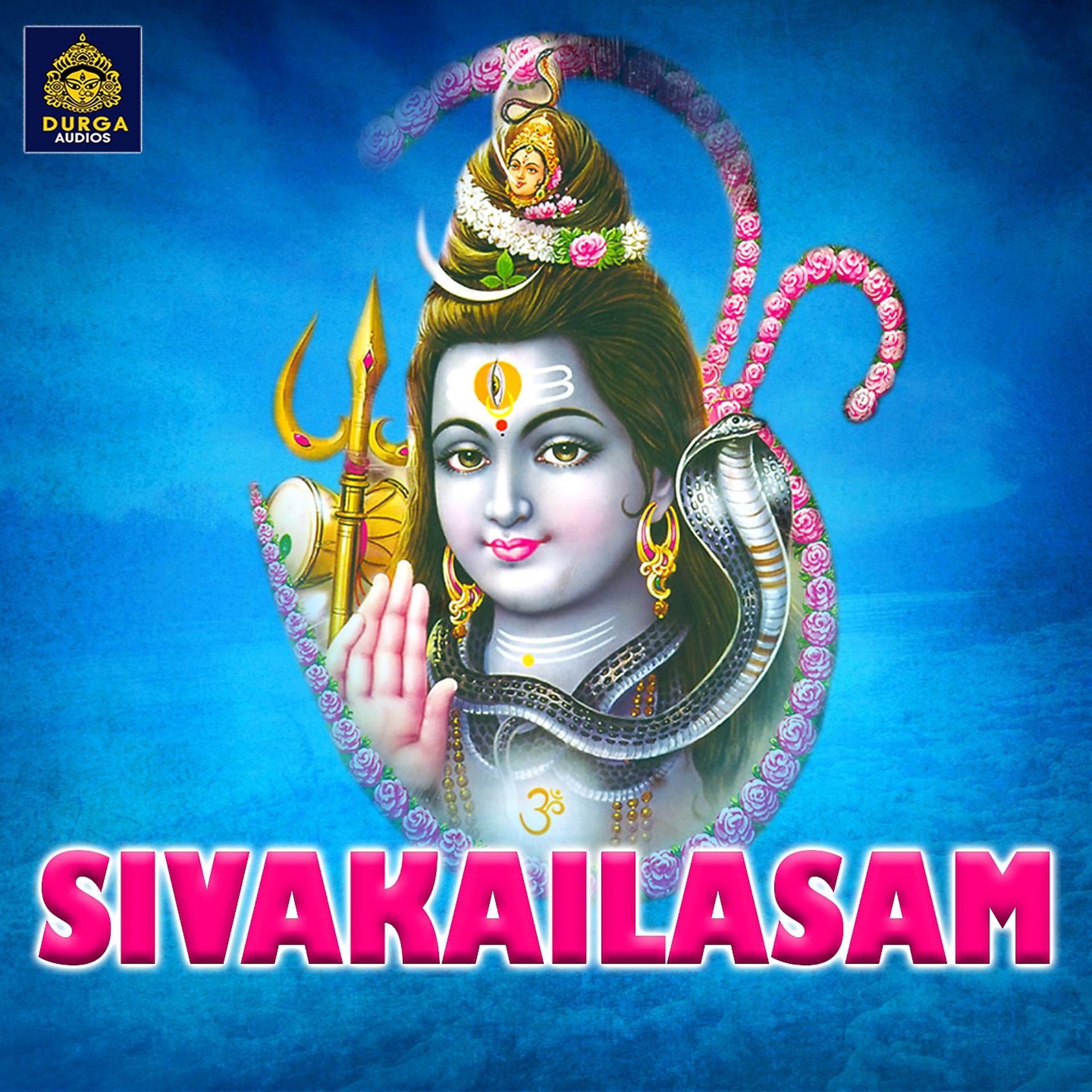 Постер альбома Sivakailasam