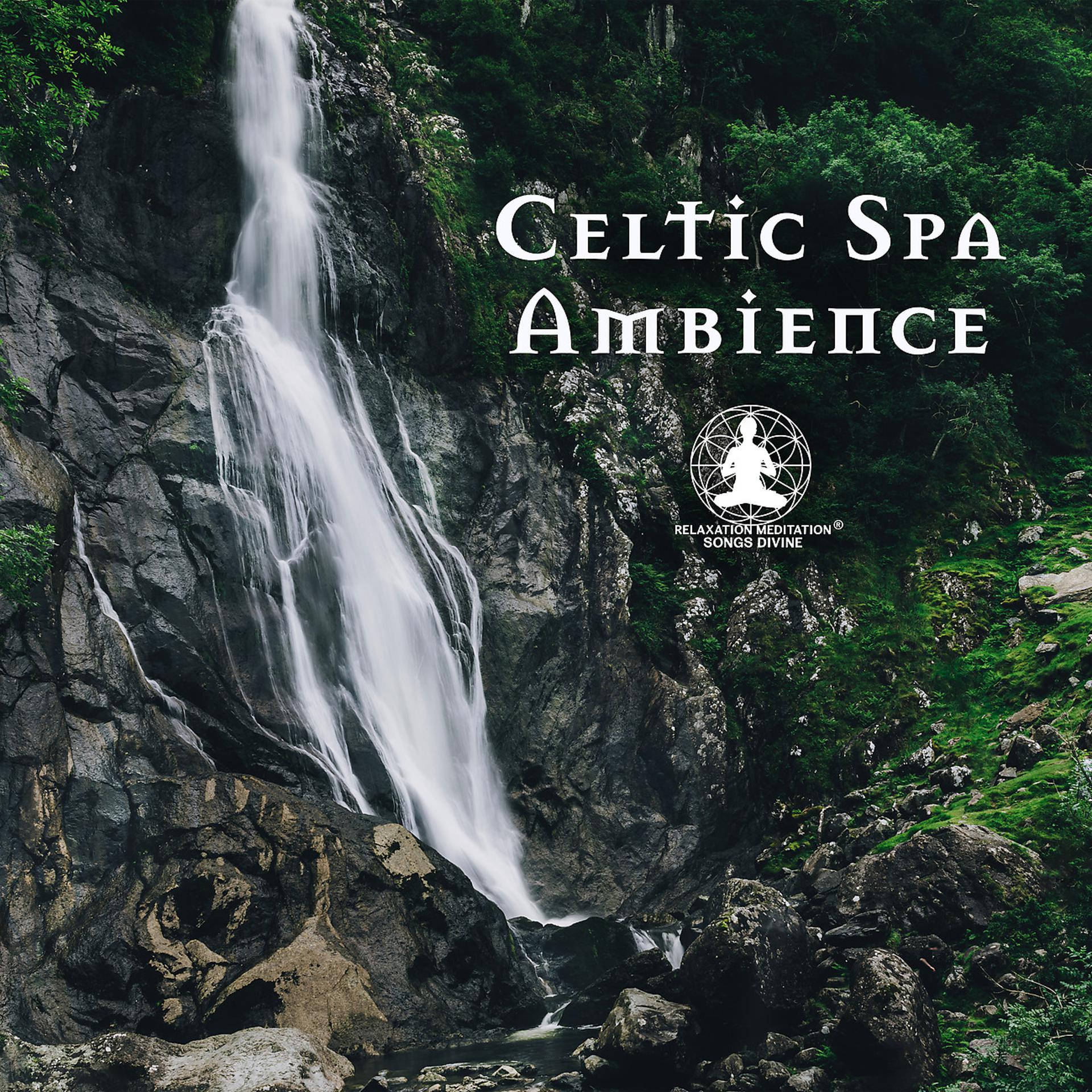 Постер альбома Celtic Spa Ambience