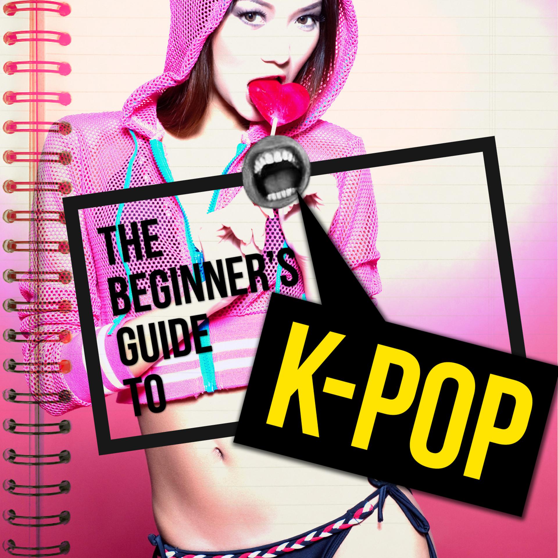 Постер альбома Beginner's Guide to K-Pop