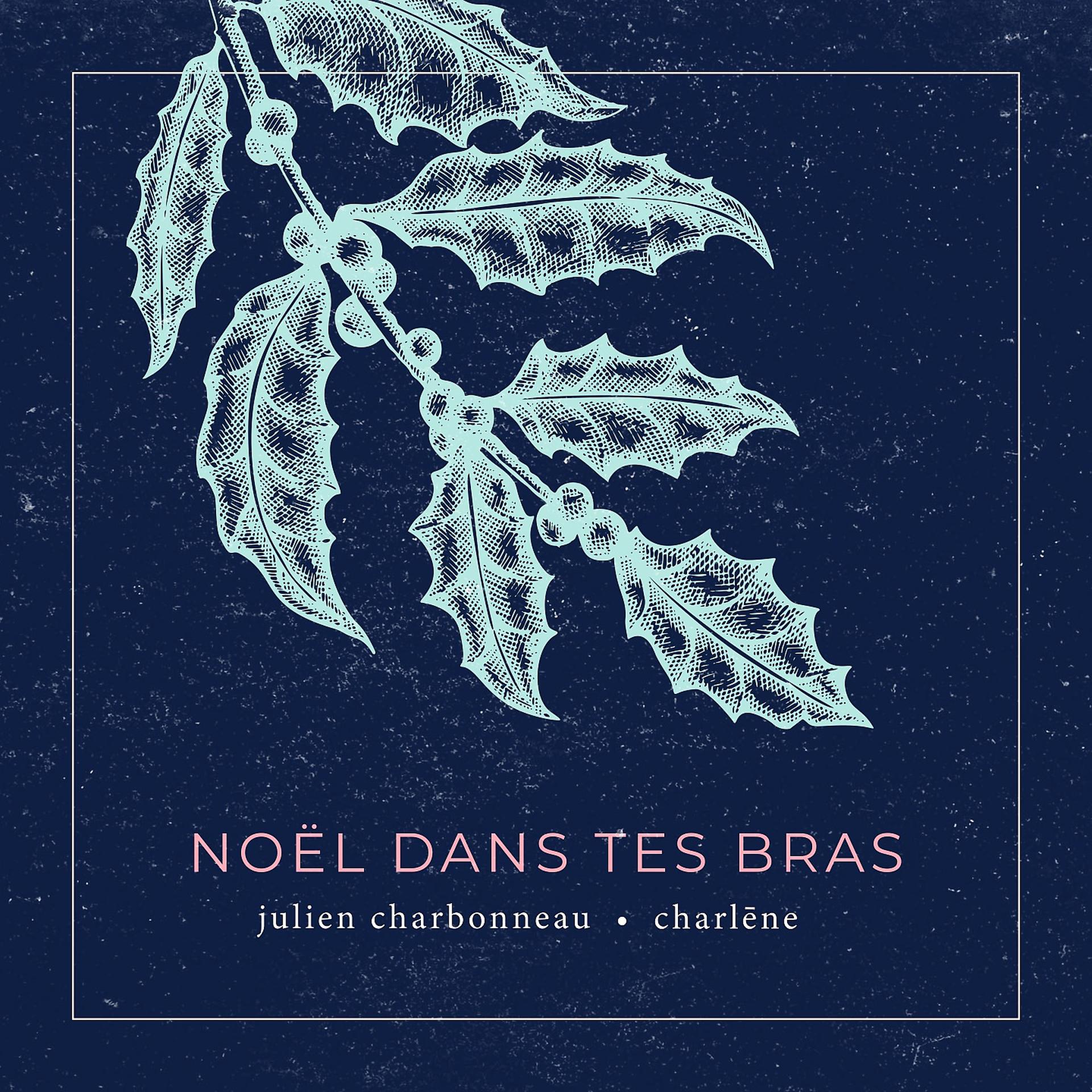 Постер альбома Noël dans tes bras