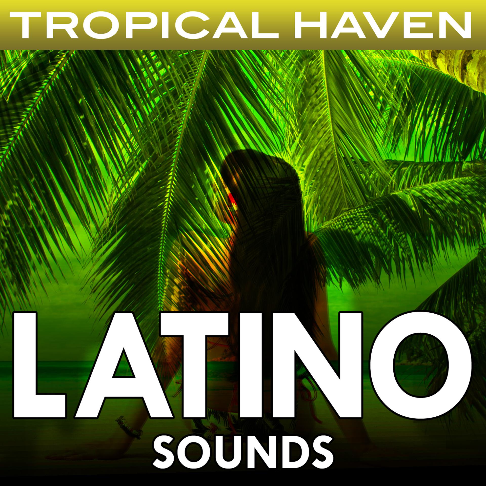 Постер альбома Tropical Haven: Latino Sounds