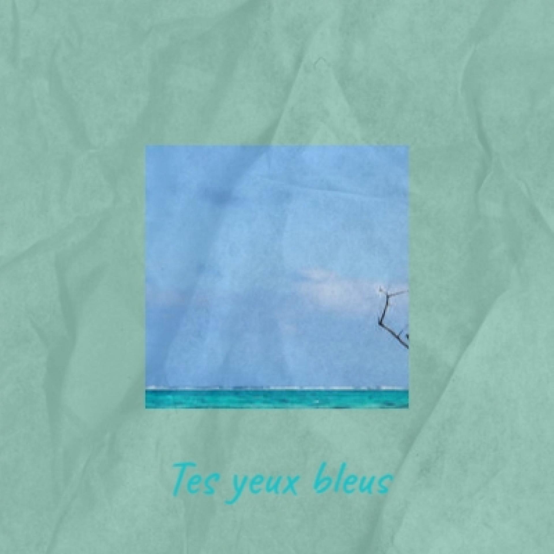 Постер альбома Tes Yeux Bleus