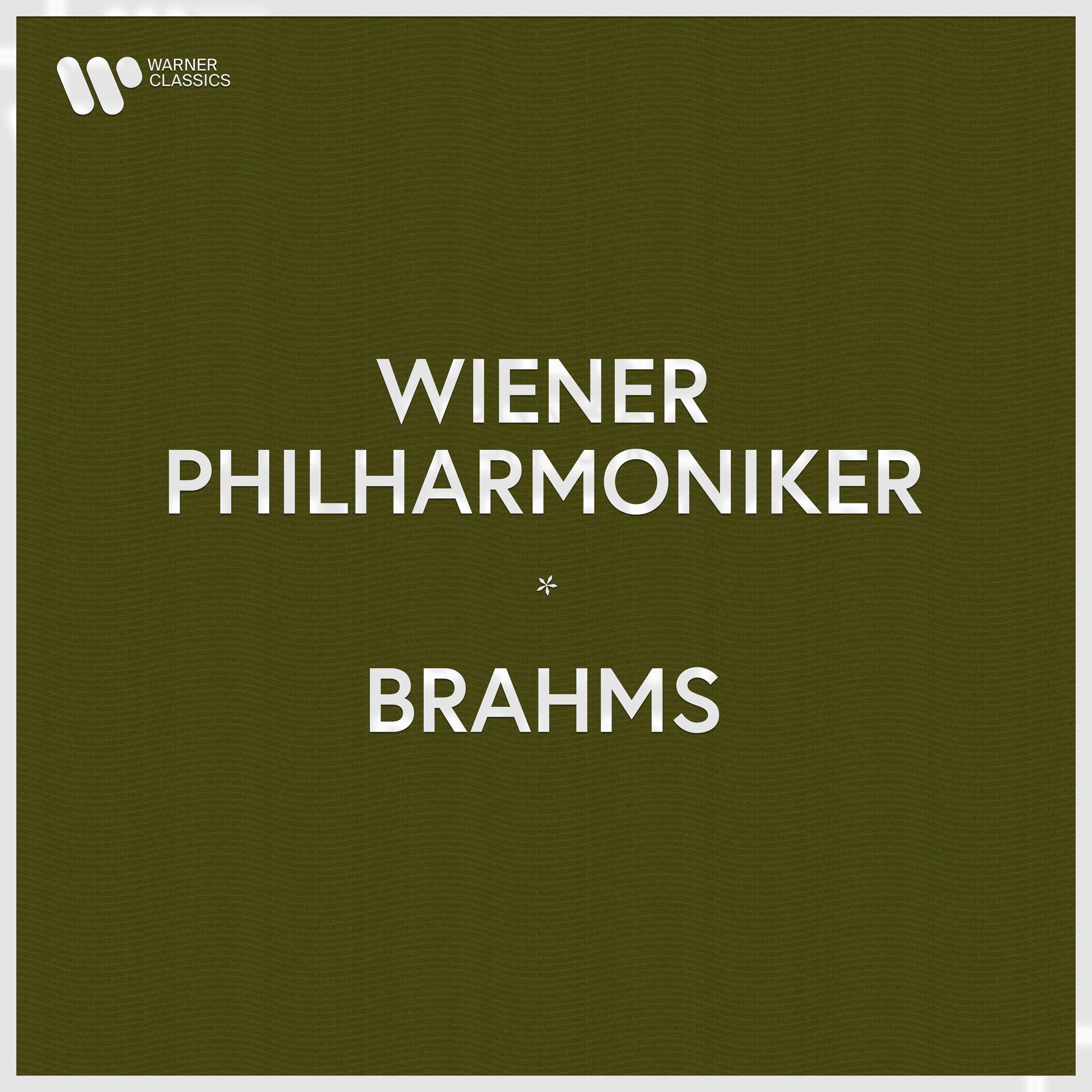 Постер альбома Wiener Philharmoniker - Brahms