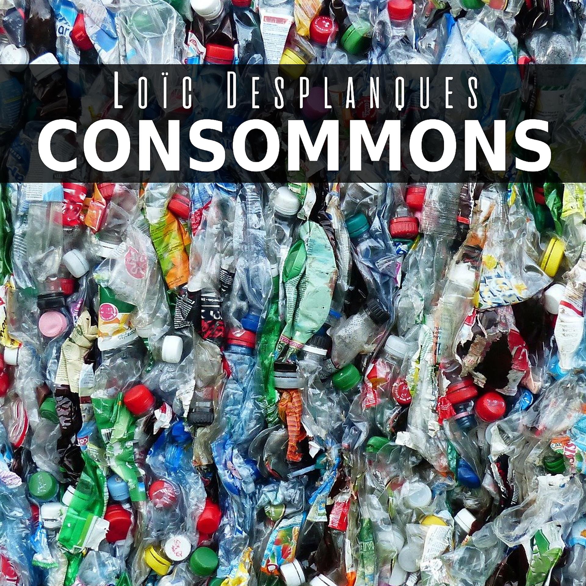 Постер альбома Consommons