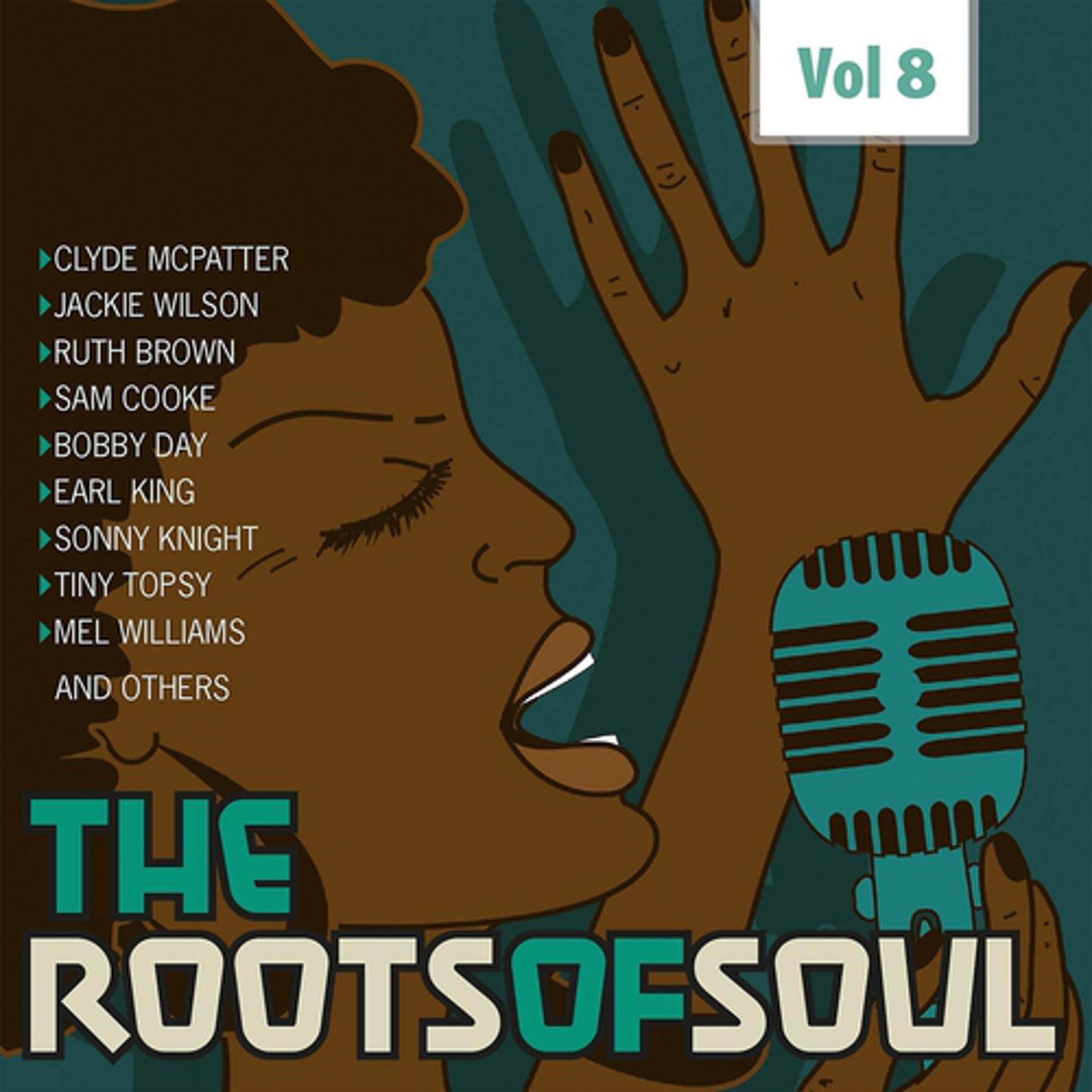 Постер альбома Roots Of Soul, Vol. 8