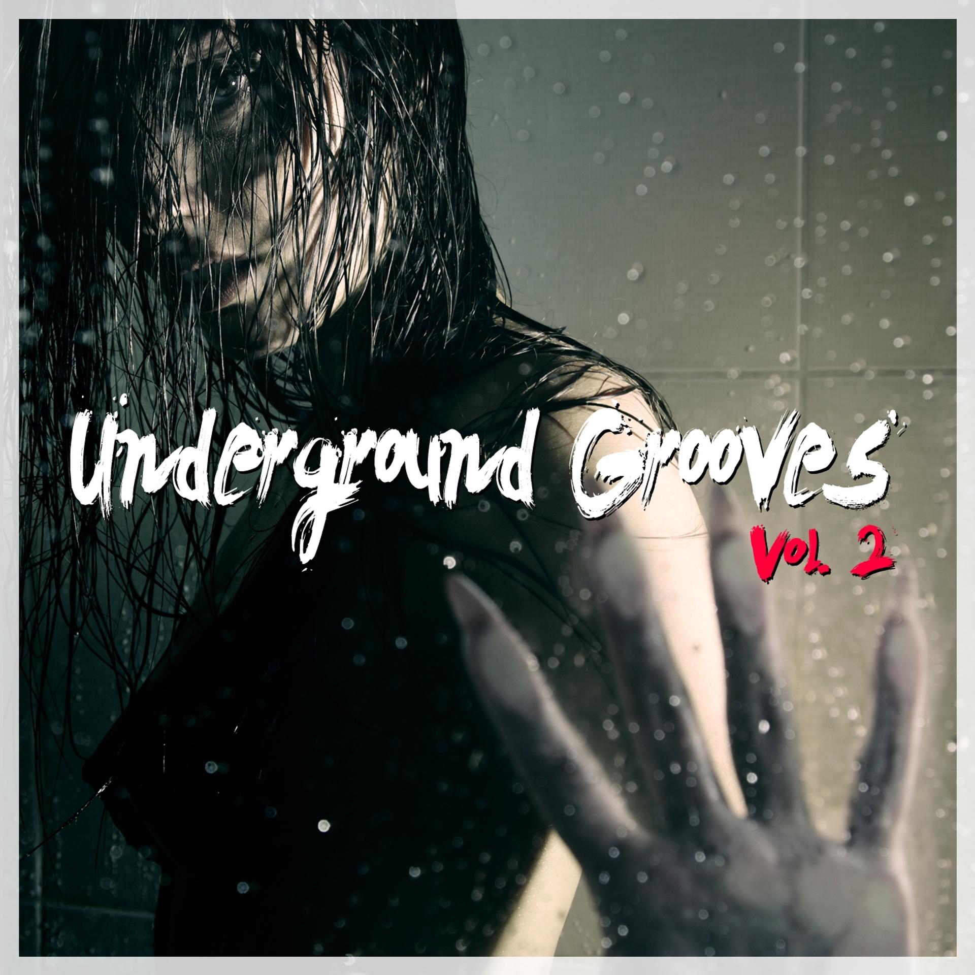Постер альбома Underground Grooves, Vol. 2