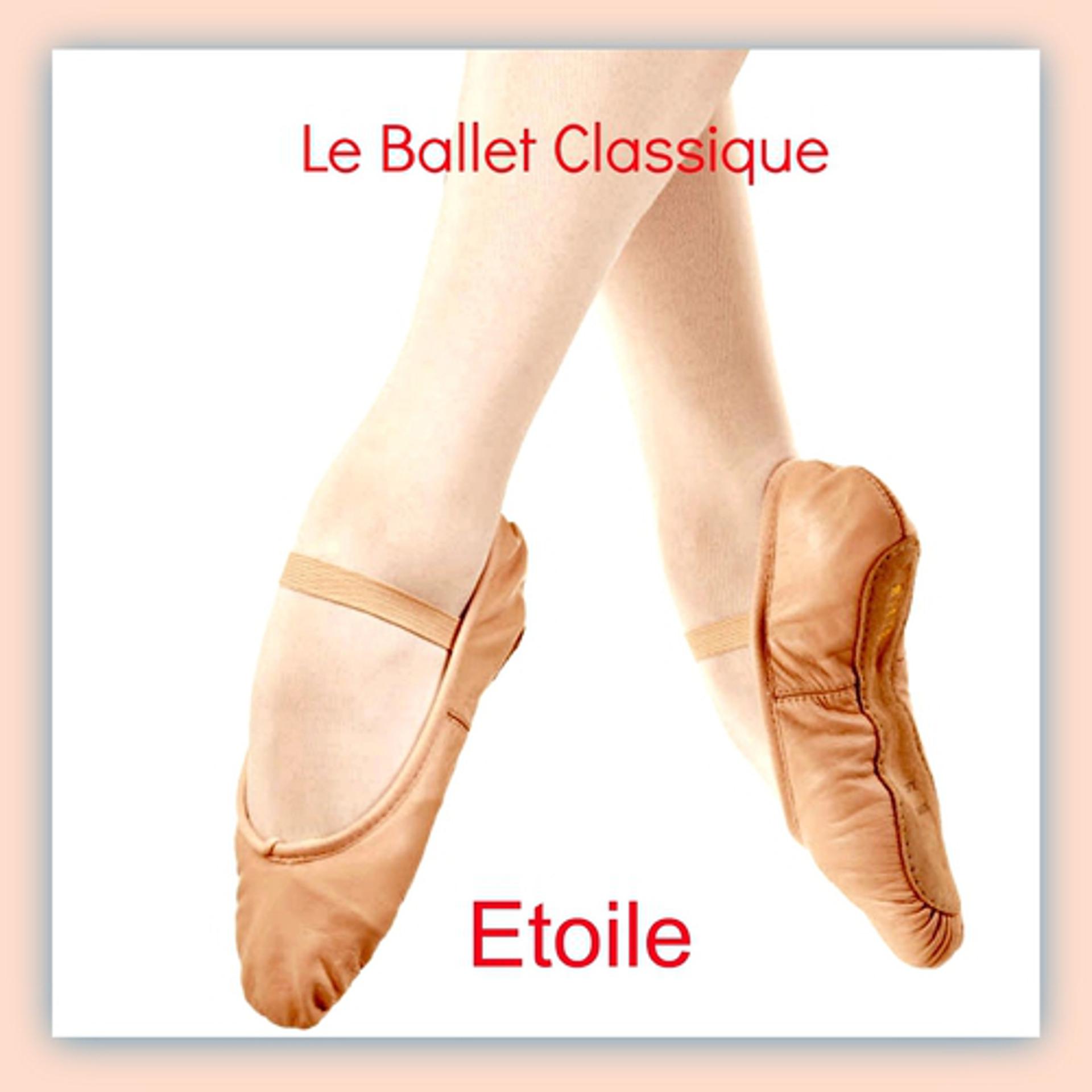 Постер альбома Le Ballet Classique
