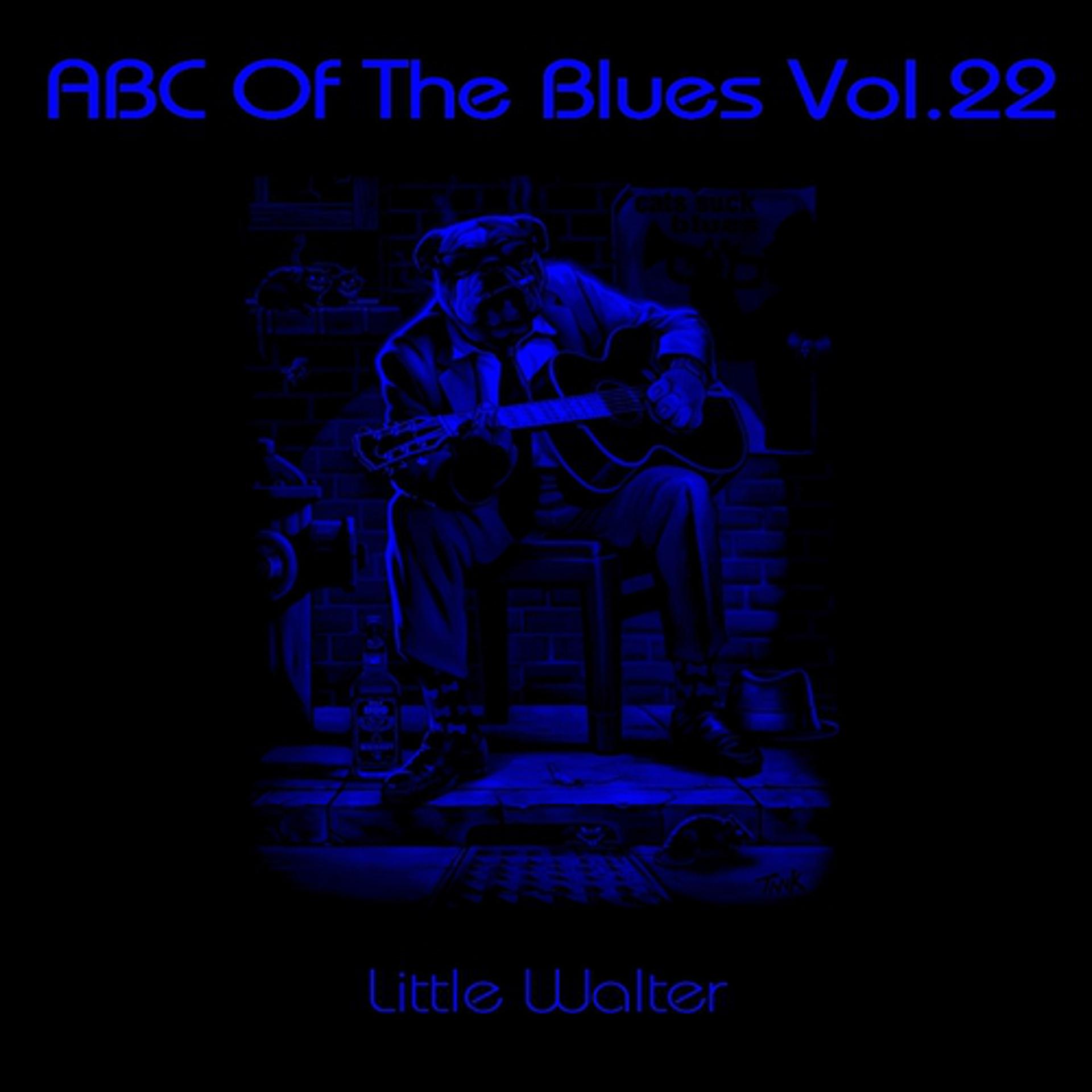 Постер альбома ABC Of The Blues, Vol. 22