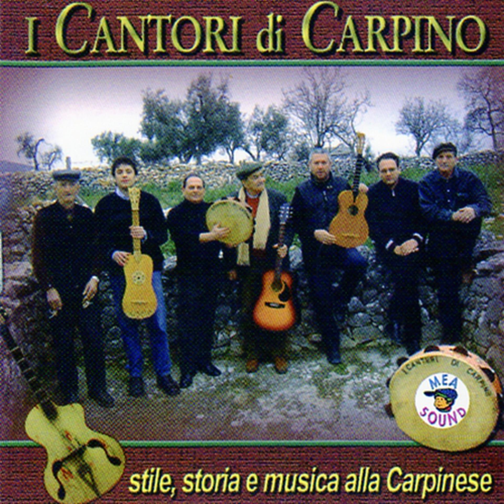 Постер альбома Stile, storia e musica alla Carpinese