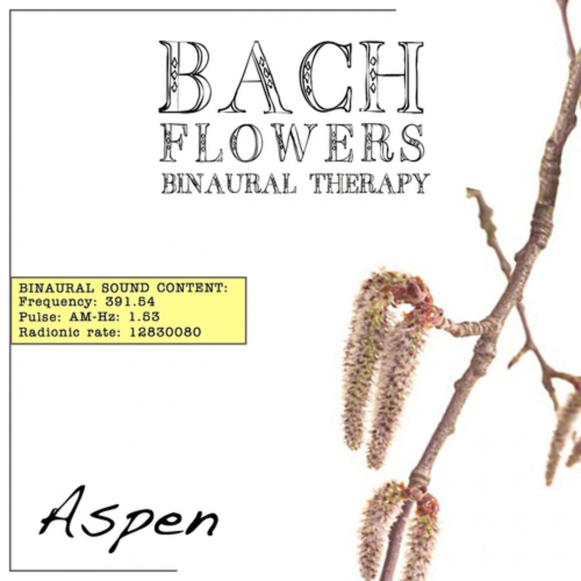 Постер альбома Aspen EFT Dose Therapy