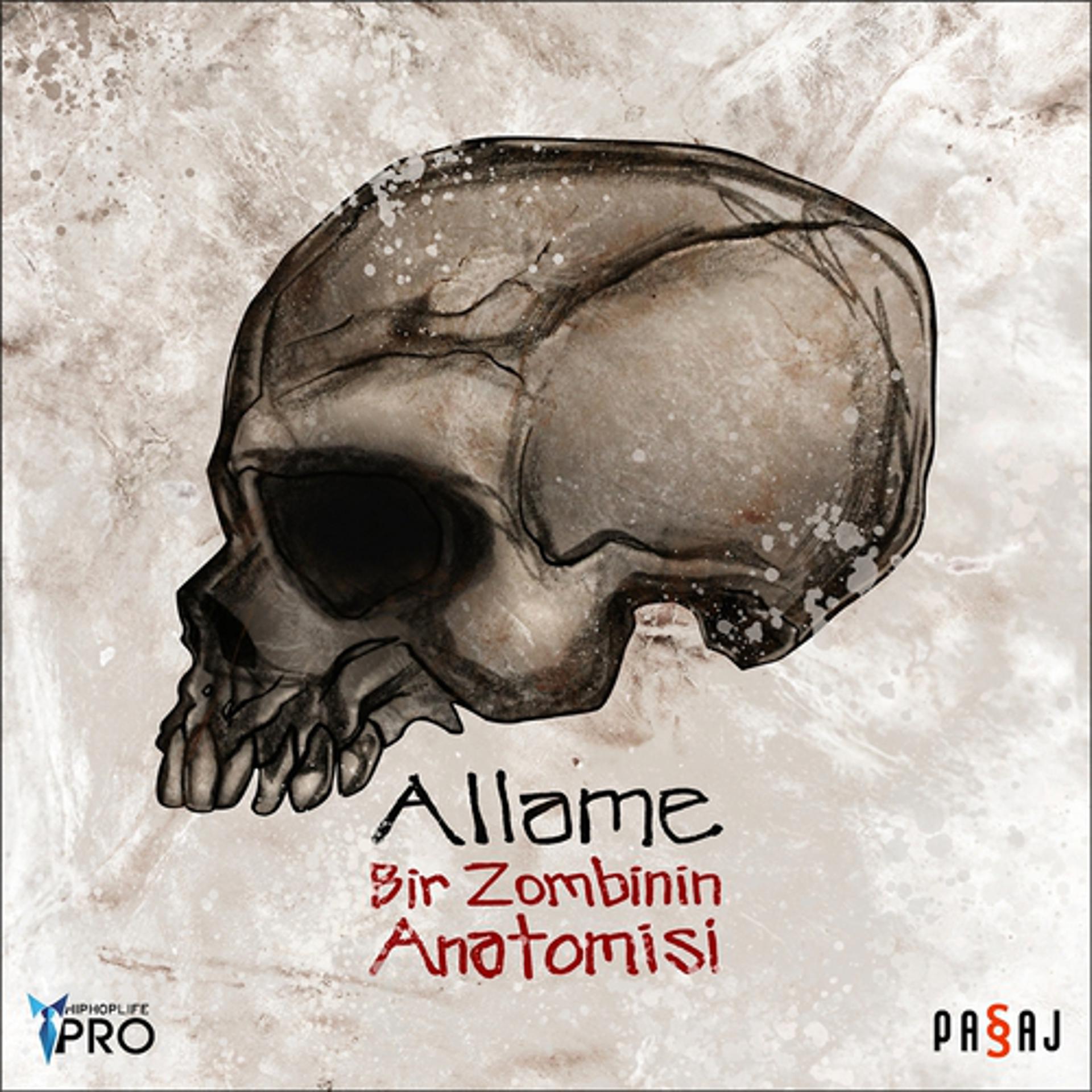 Постер альбома Bir Zombinin Anatomisi
