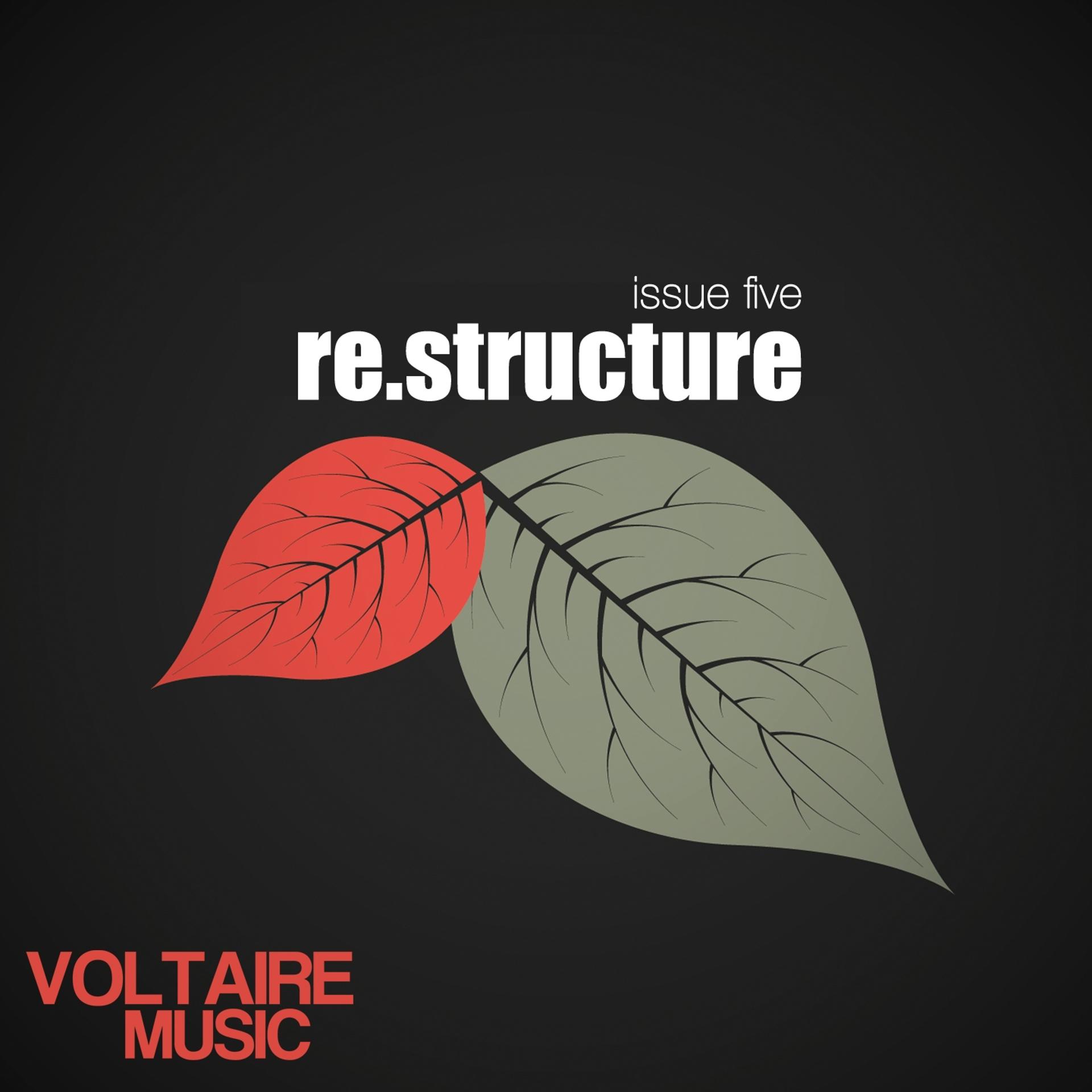 Постер альбома Re:structure Issue Five