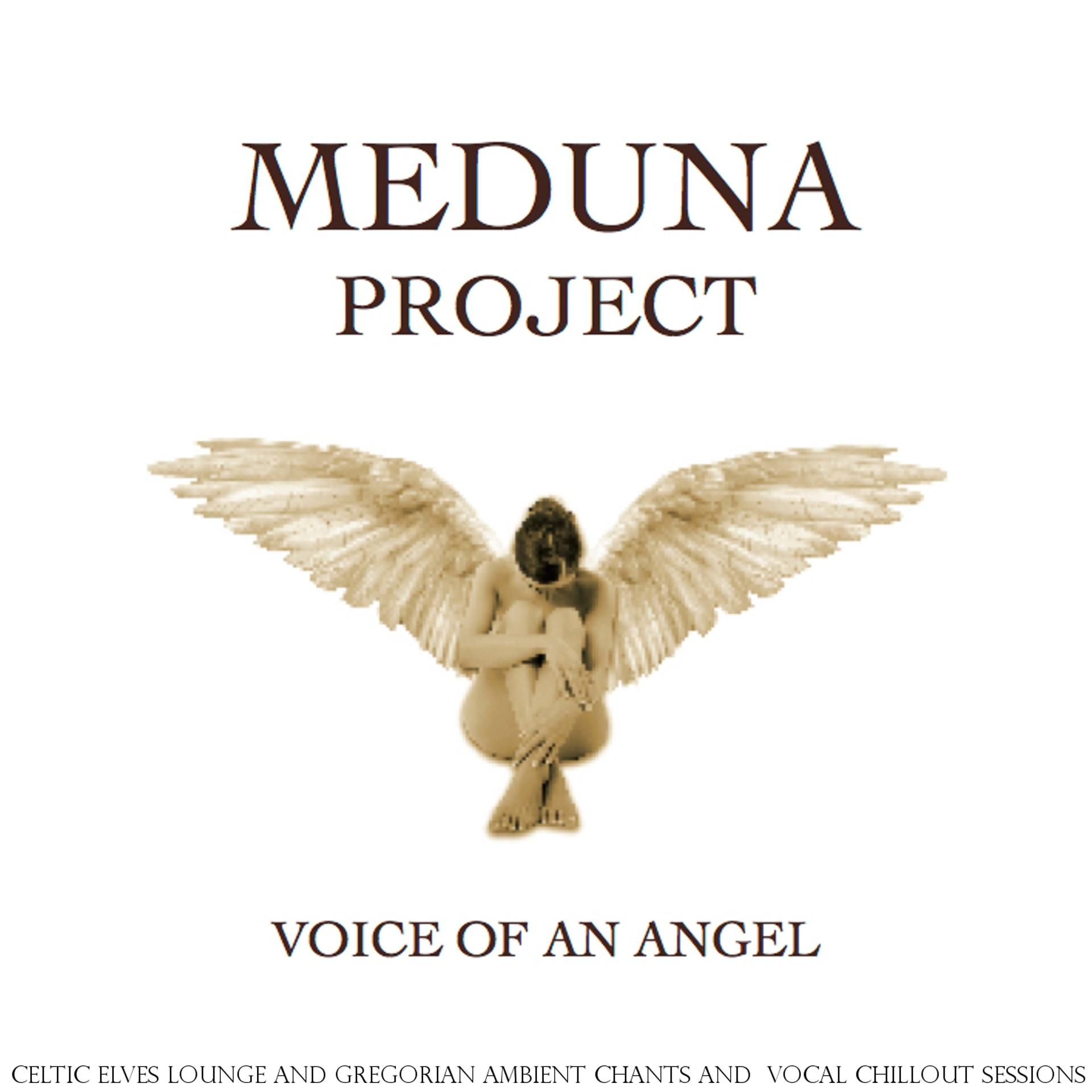 Постер альбома Voice of an Angel