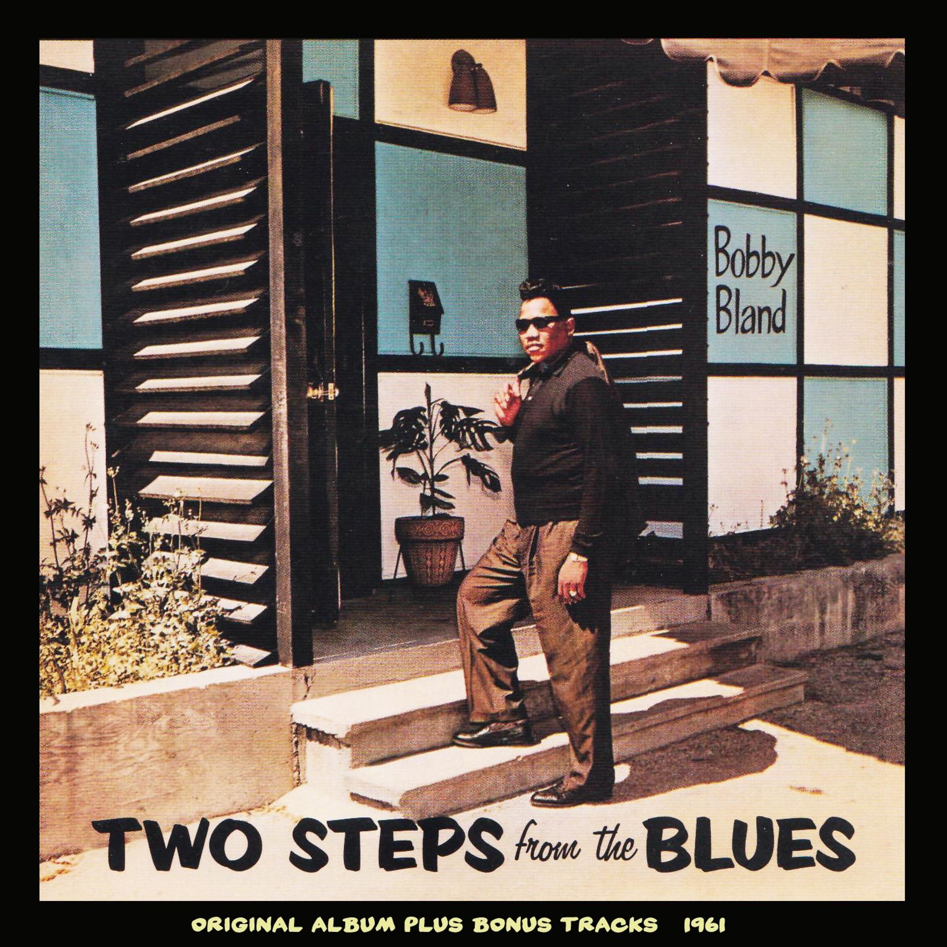 Постер альбома Two Steps from the Blues