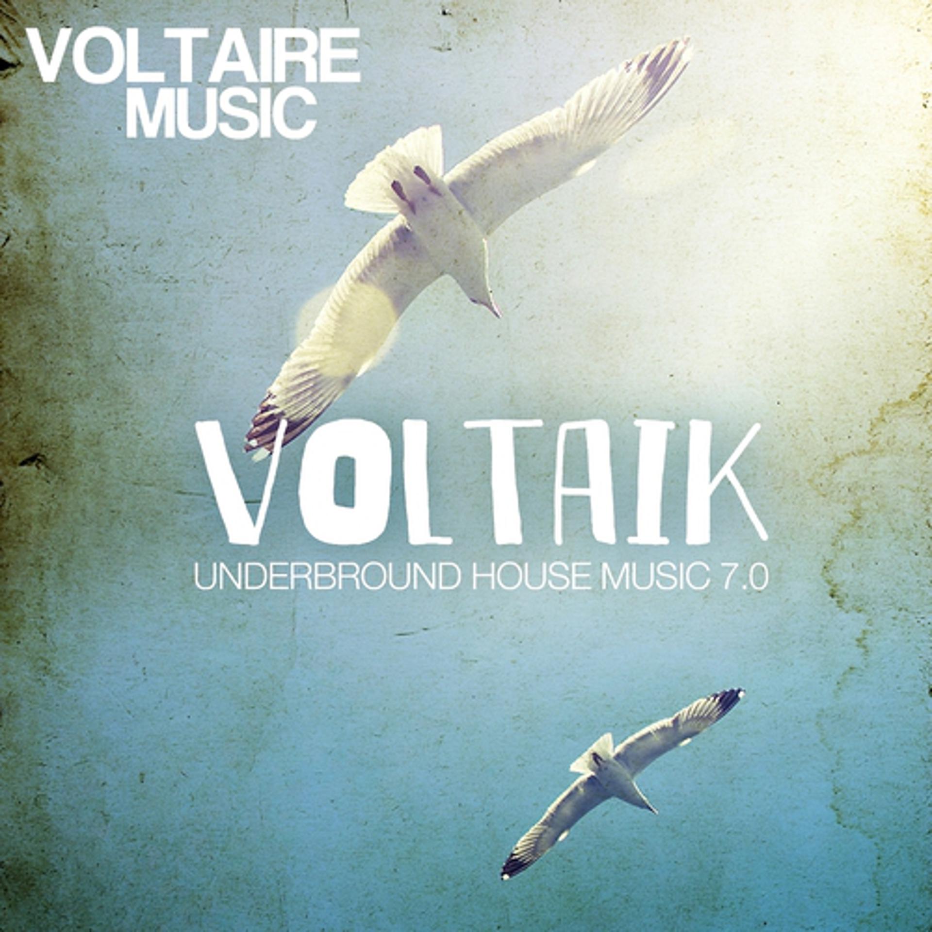 Постер альбома Voltaik 7.0