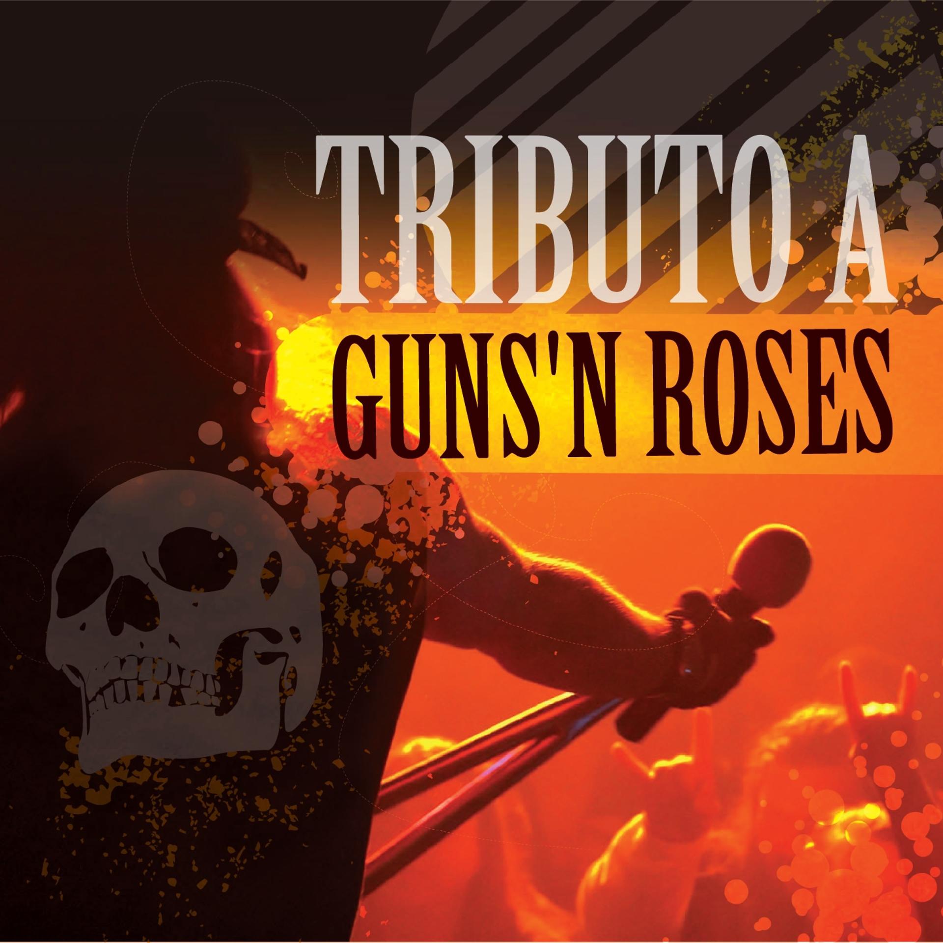 Постер альбома Tributo a Guns'n Roses
